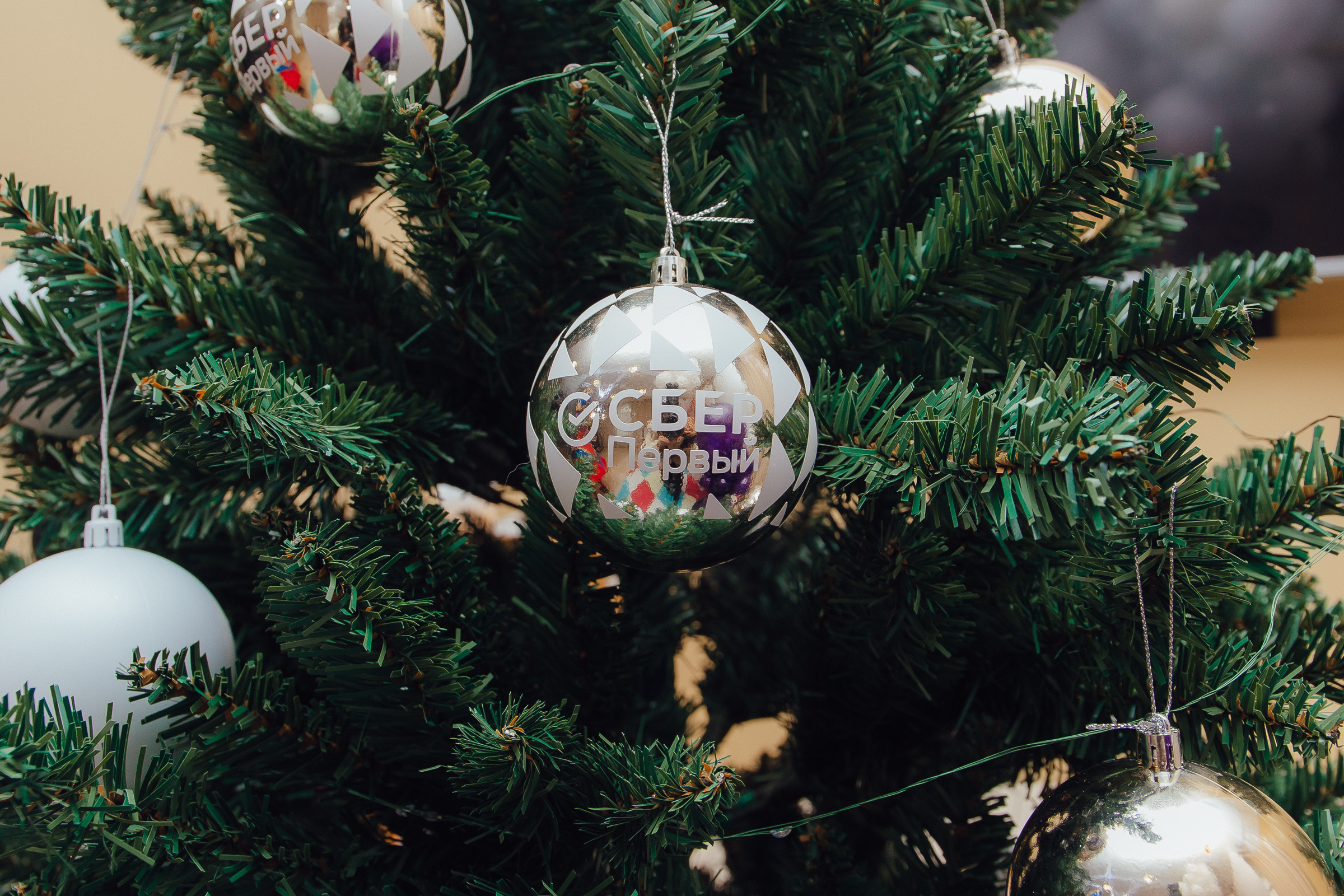 Новый год Сбер. Фотограф Улан-Удэ