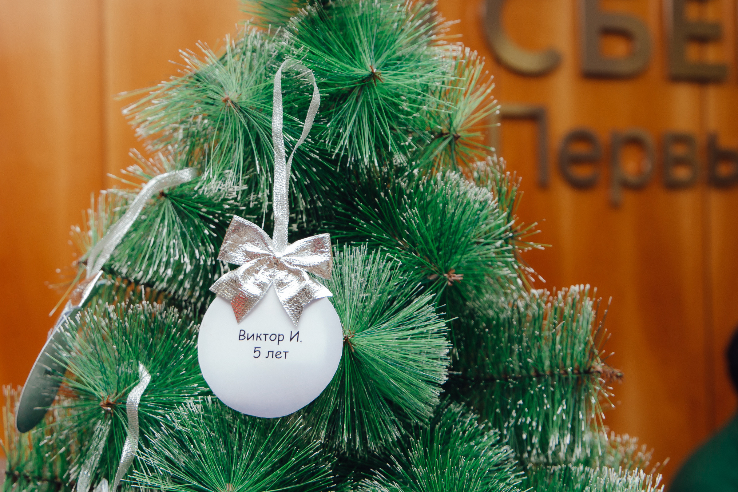 Новый год Сбер. Фотограф Улан-Удэ