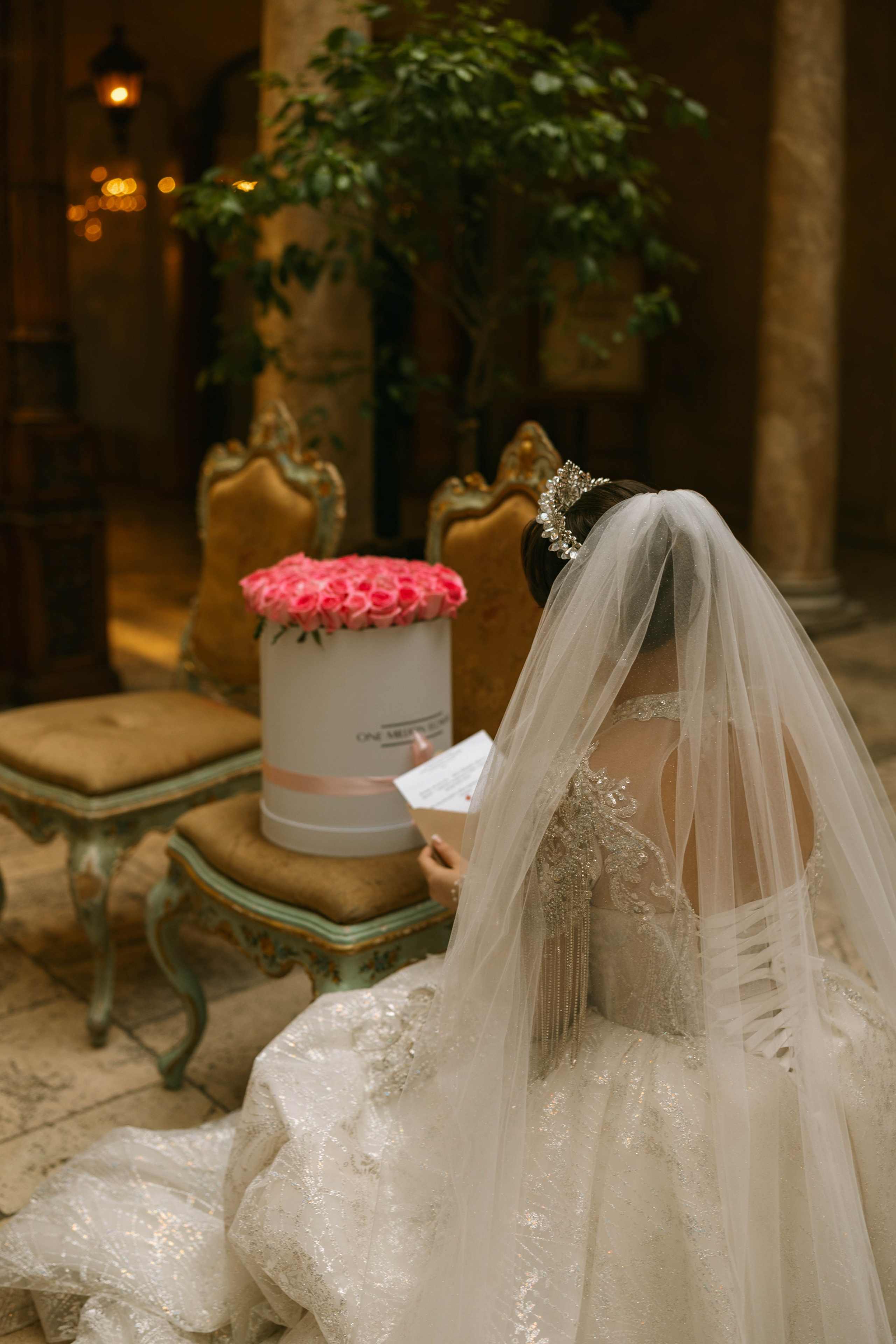 Ксения и Дмитрий. Профессиональный фотограф