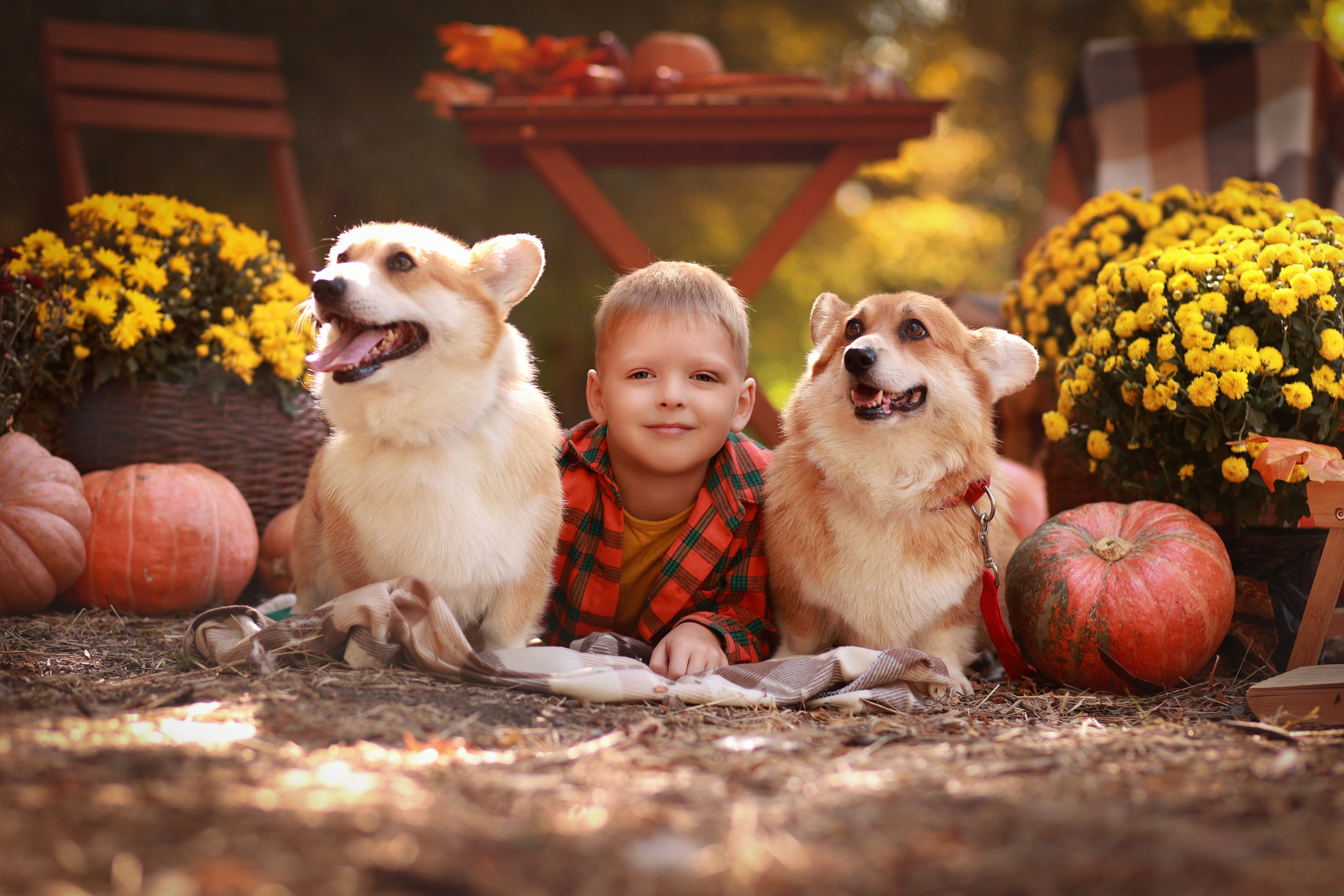 Пикник в парке. Детский семейный фотограф Краснодар