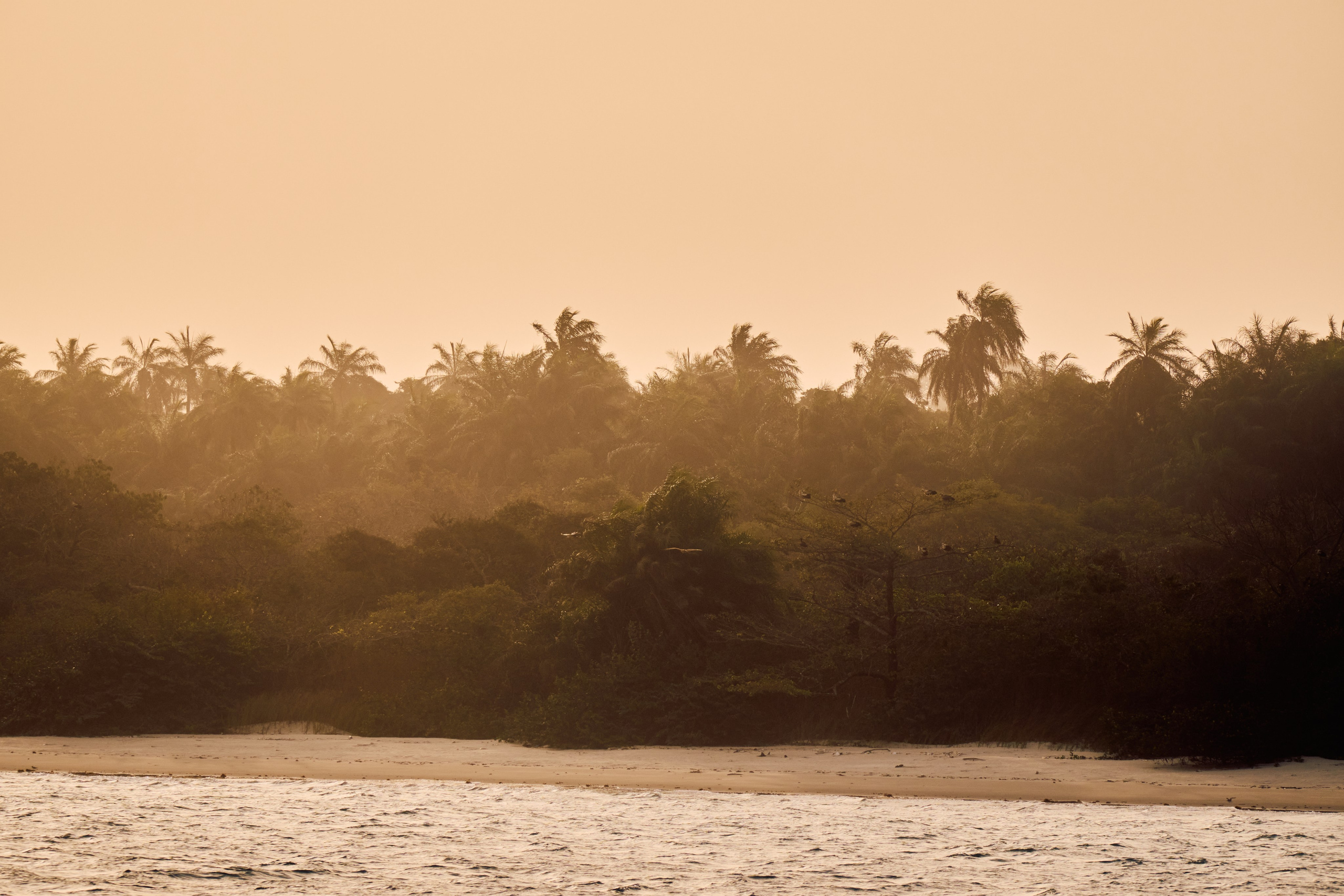 Archipelago Bissagos. See the moment and catche. commercial and reportage