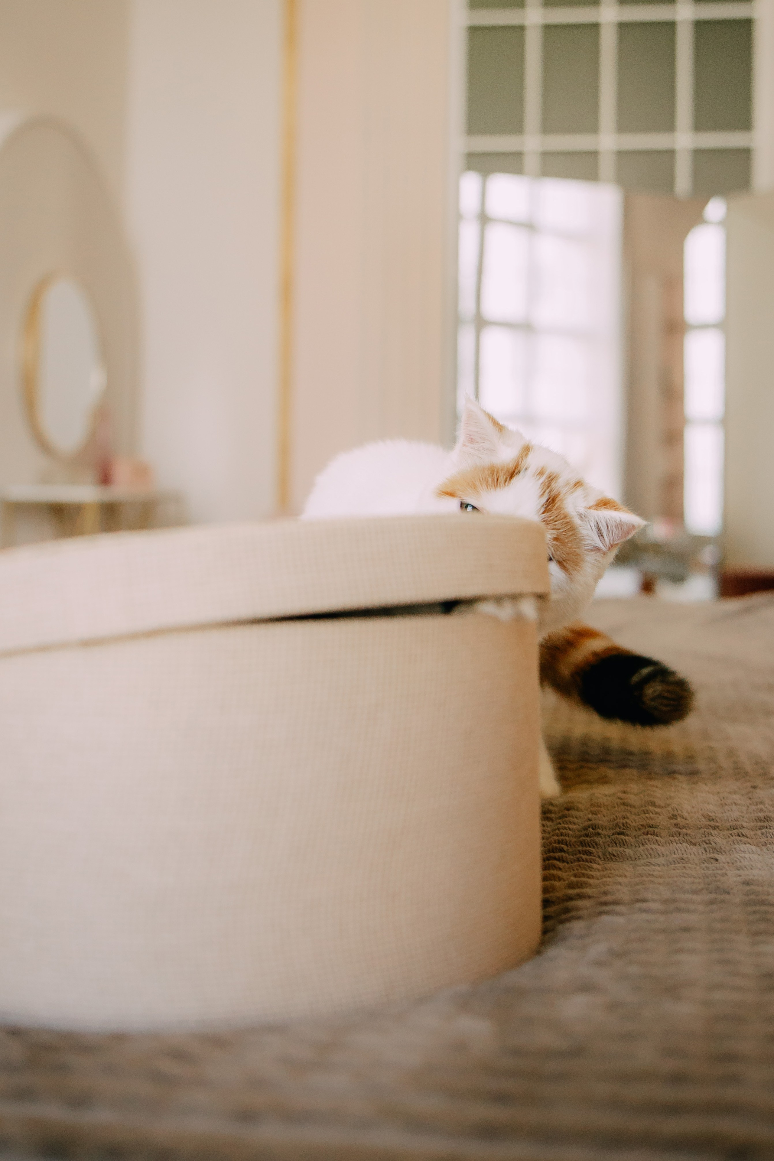 Султан, Мэй Мэй и Шанталь и их семья