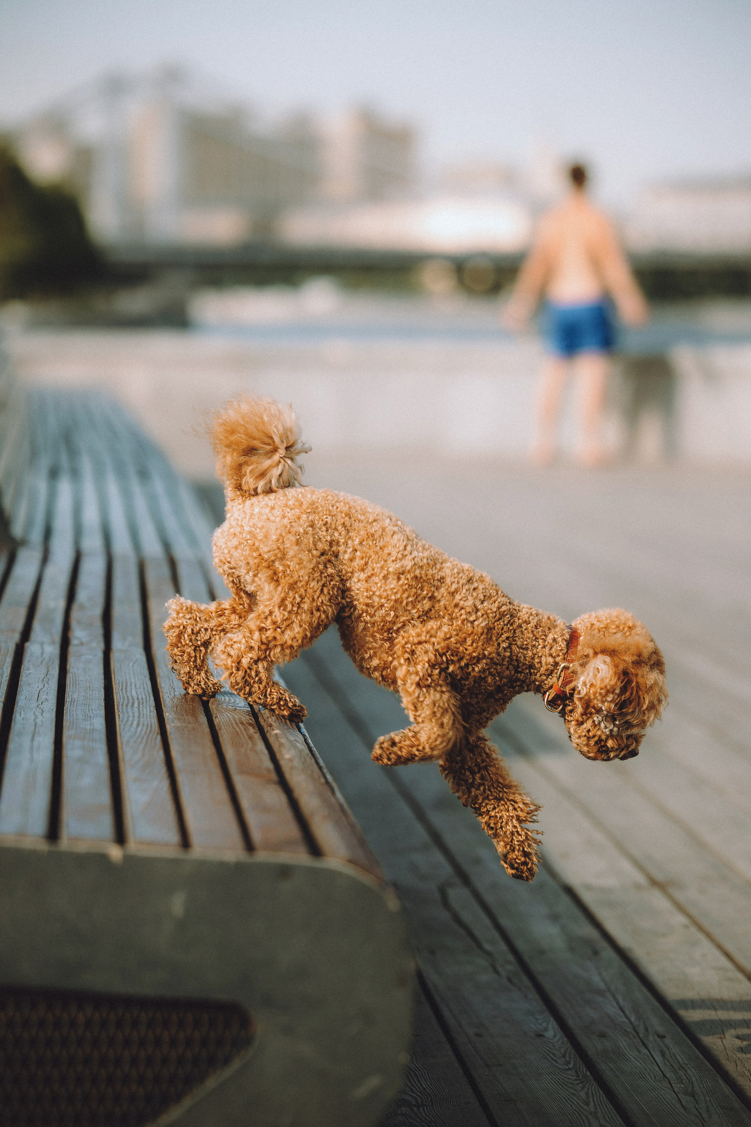 Марья и Буба