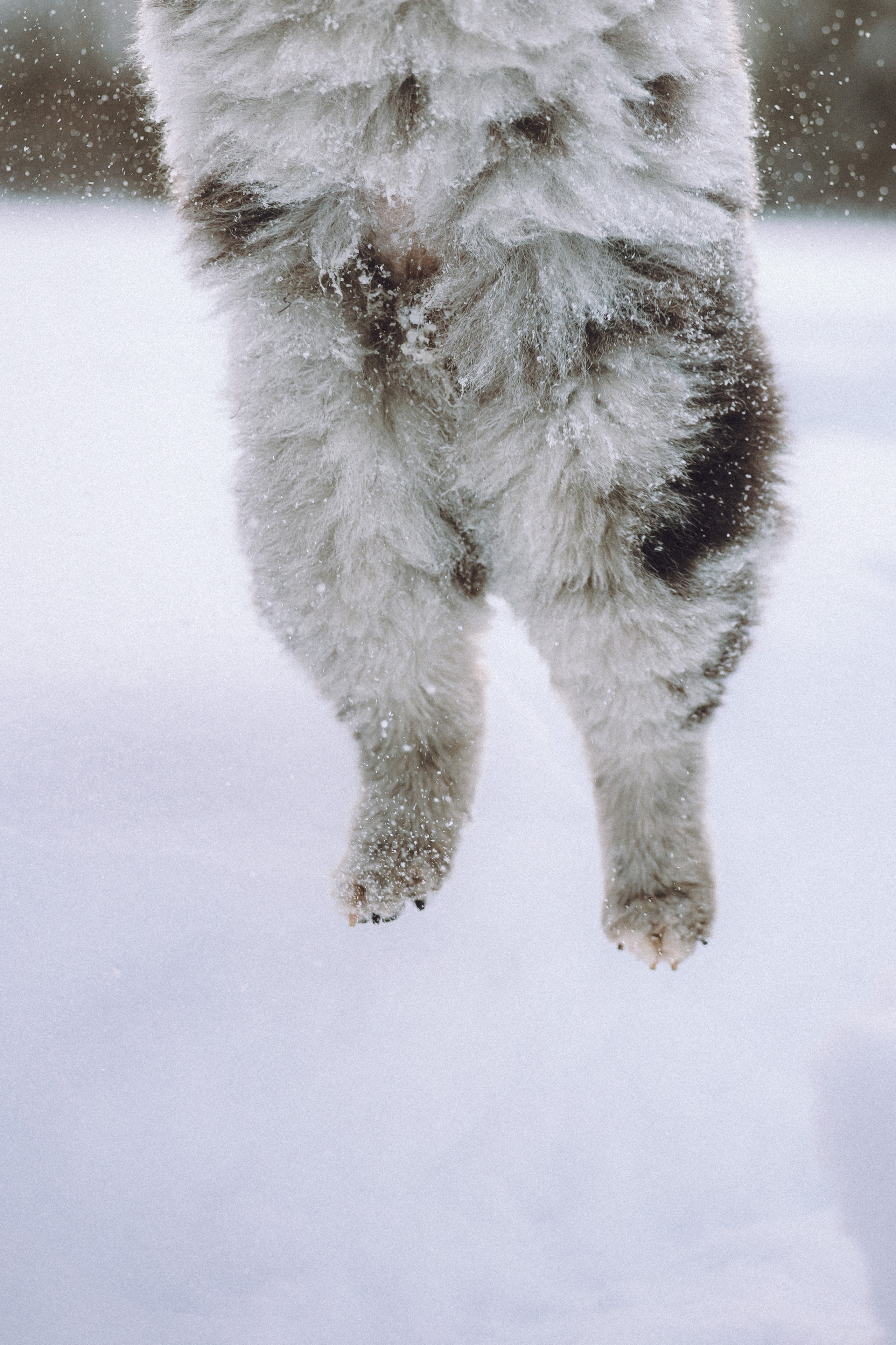 Любава и Марс