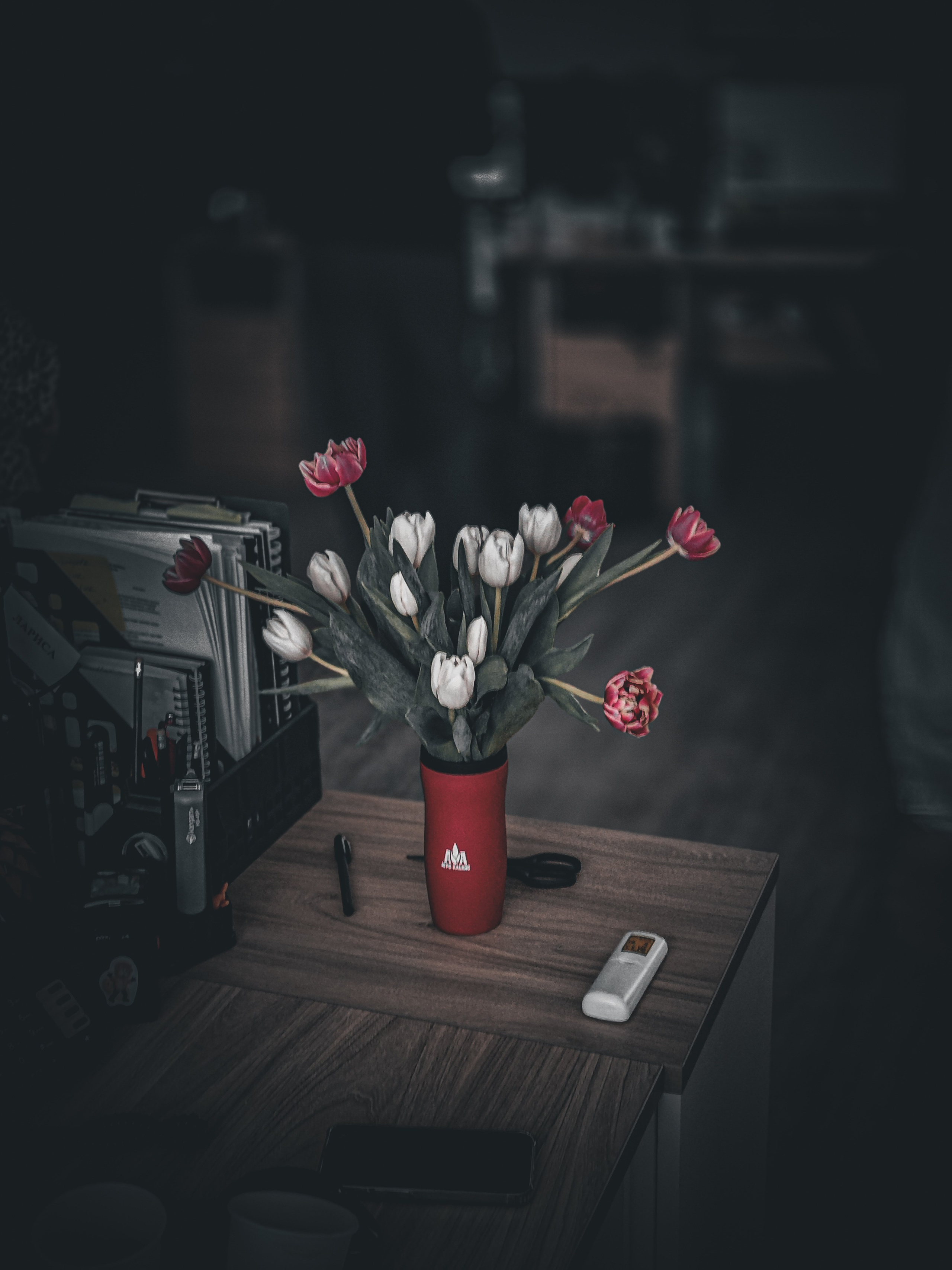 8 марта. Игорь Урывский. Фотограф Красноярск