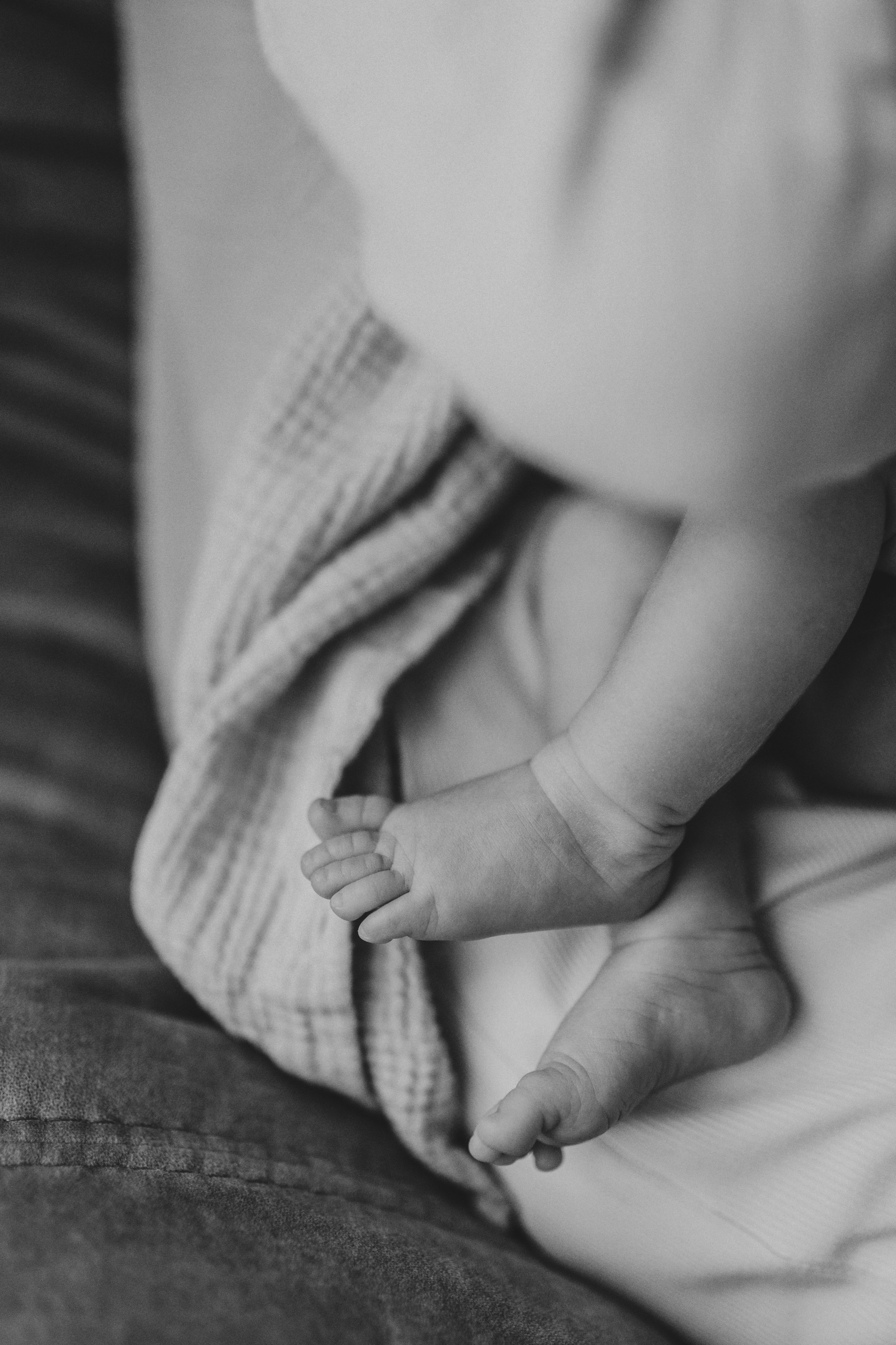 Вероника, Дмитрий и Мелисса. Семейный фотограф Земскова Евгения