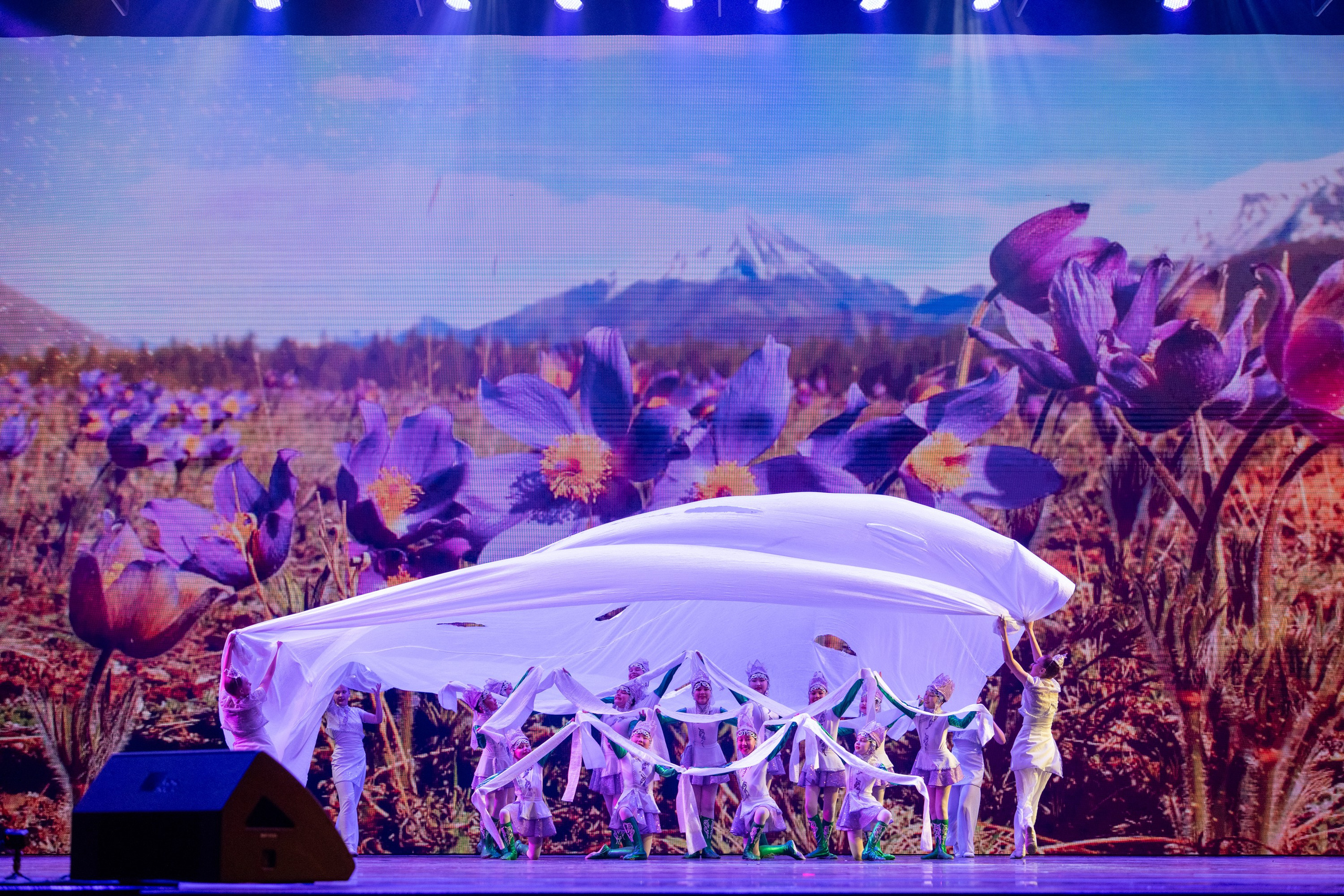 18 мая, г. Москва, Кремль, Концерт. Золотое яблочко