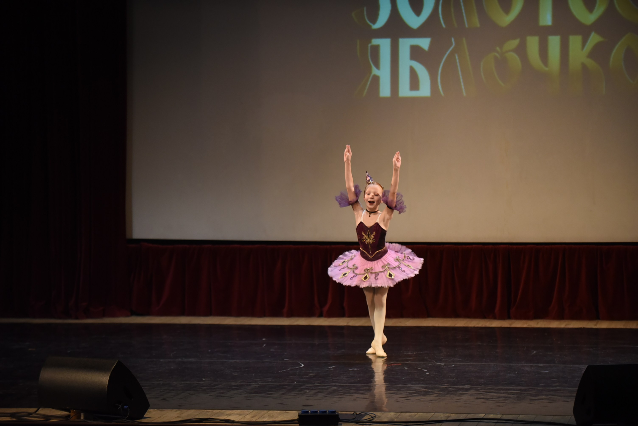 17 ноября, 3 блок, г. Москва. Золотое яблочко