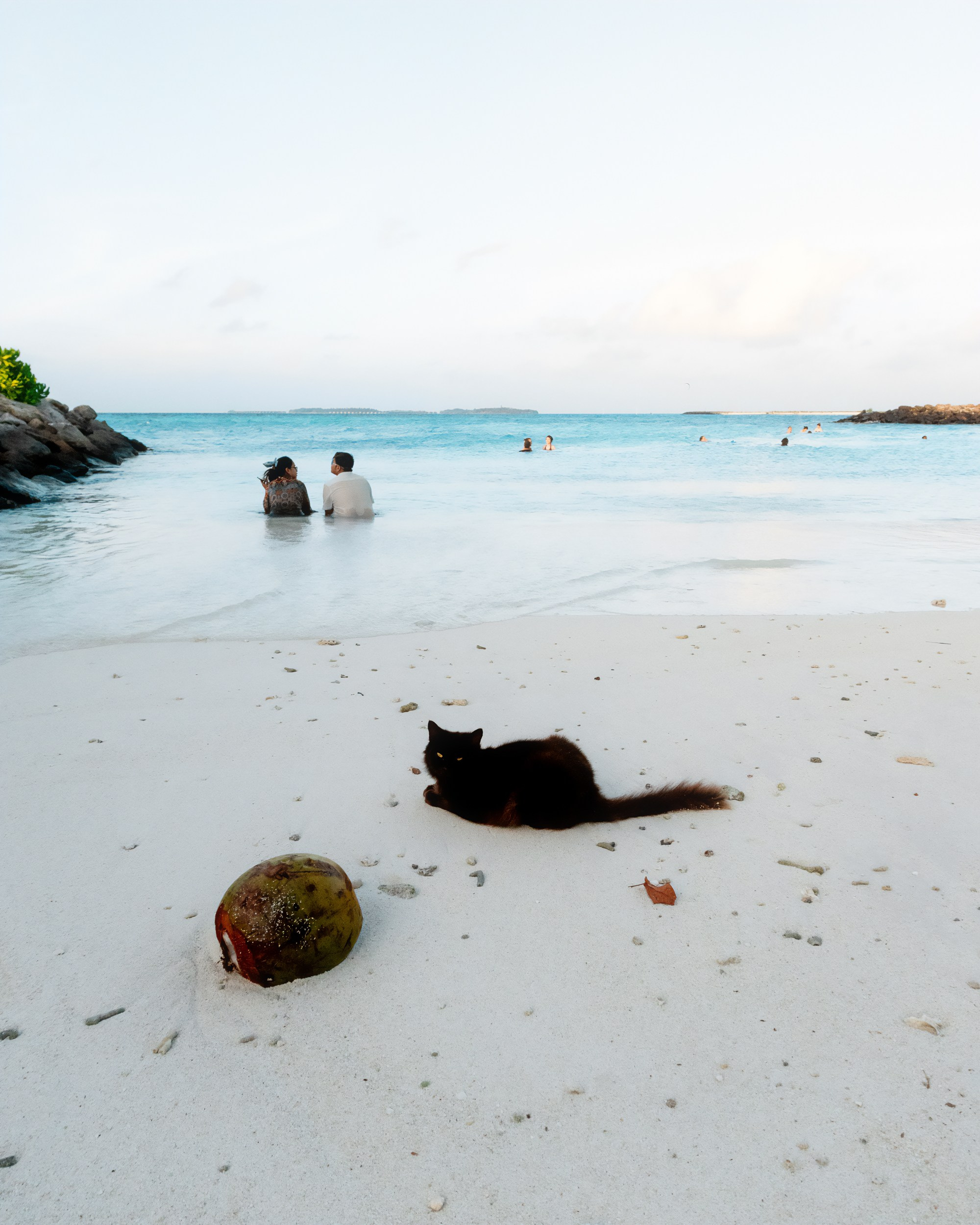 Ktokuda. Фотограф в Хабаровске. Фотография за 24 часа