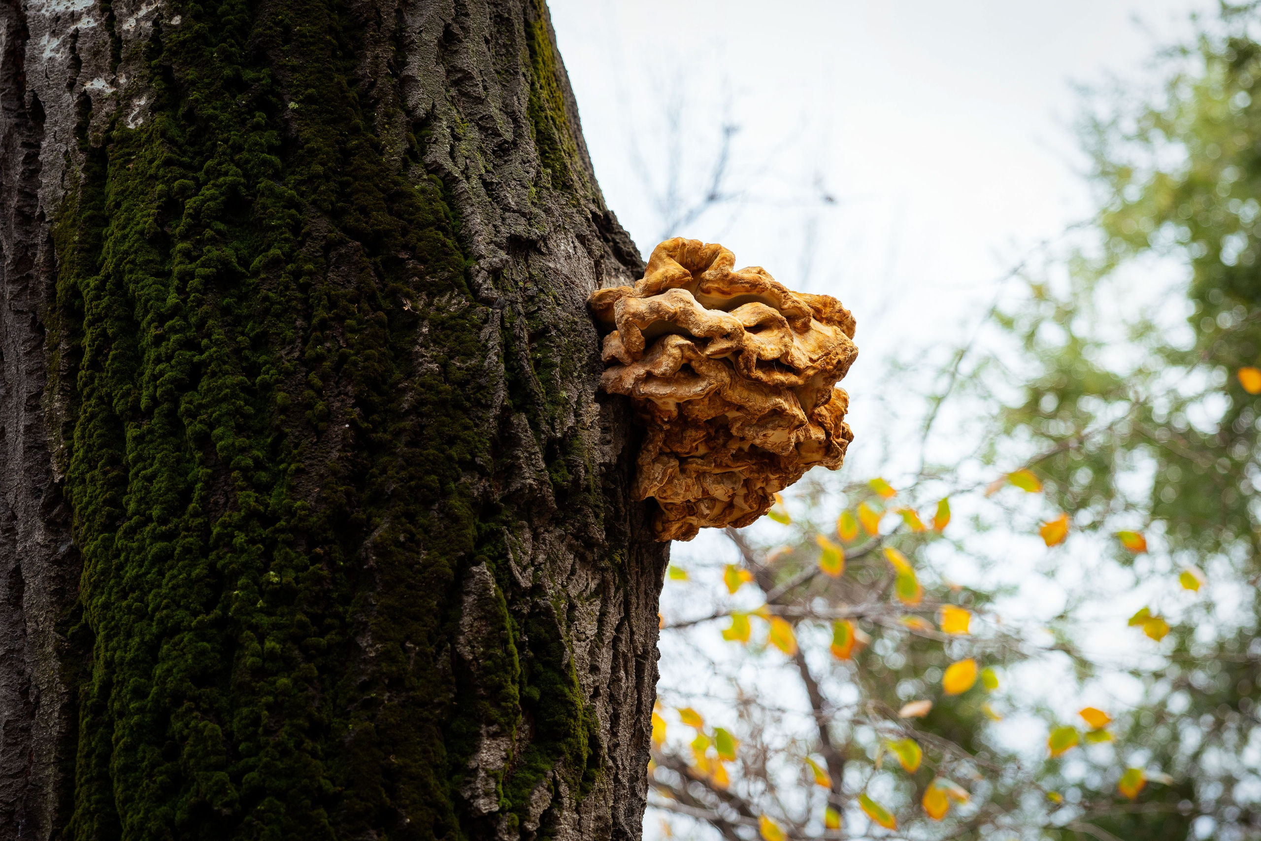 Казахстан (осень 2024). Фотограф Виноградов Константин