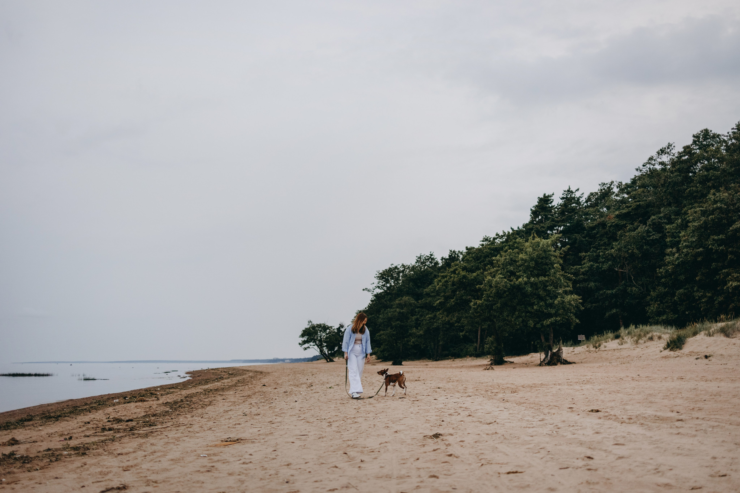 Даша и Арчи. Фотограф — Анималист | Санкт-Петербург