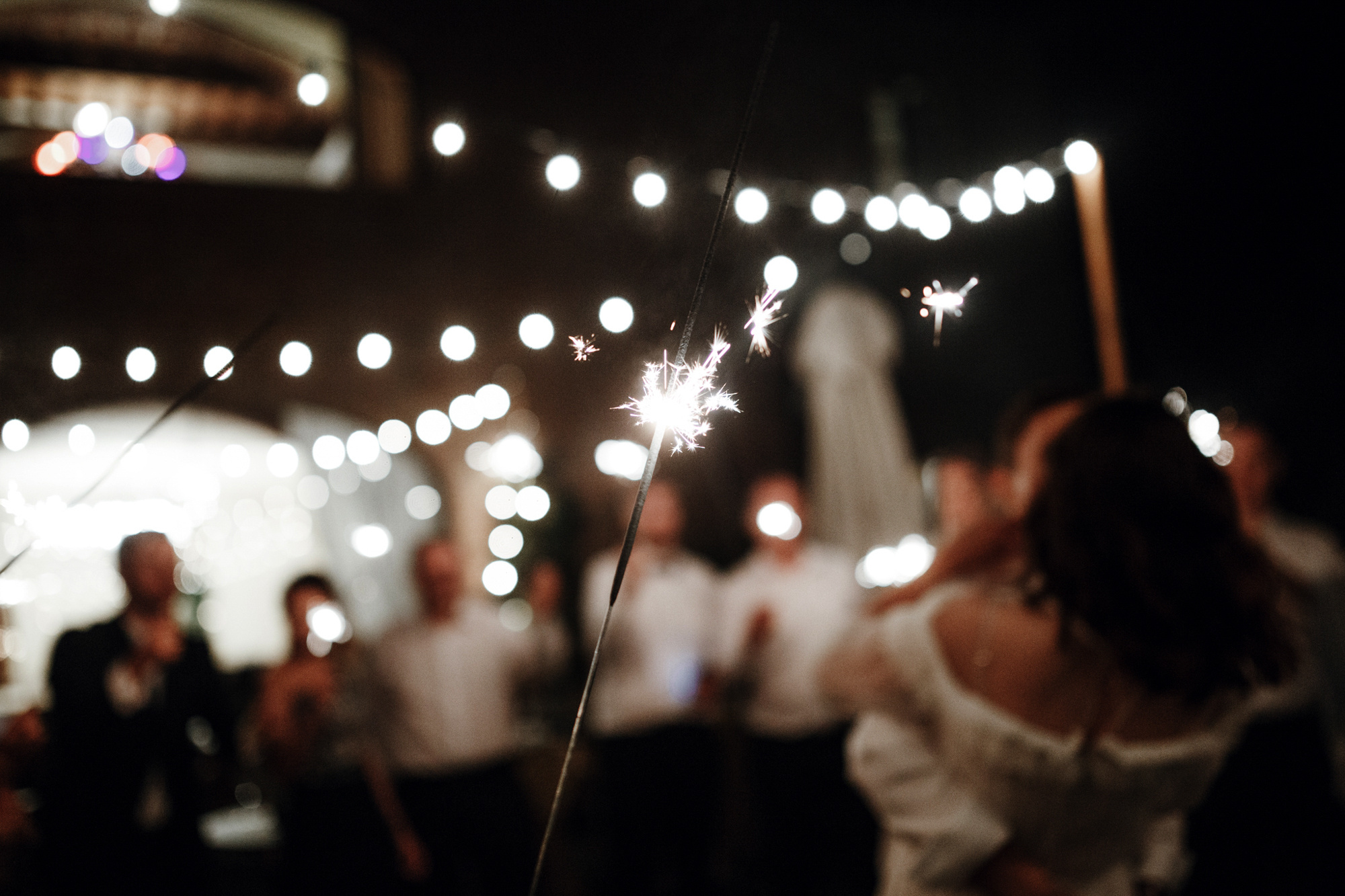 Olesya & Oleg. Anton Prokopenkov Wedding and Portrait Photographer