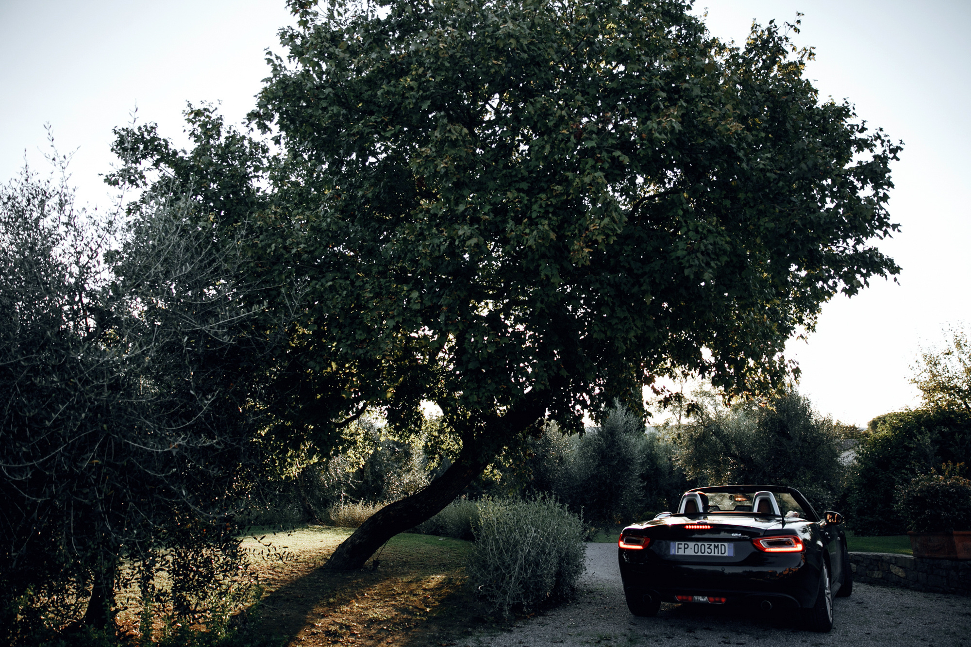 Olesya & Oleg. Anton Prokopenkov Wedding and Portrait Photographer