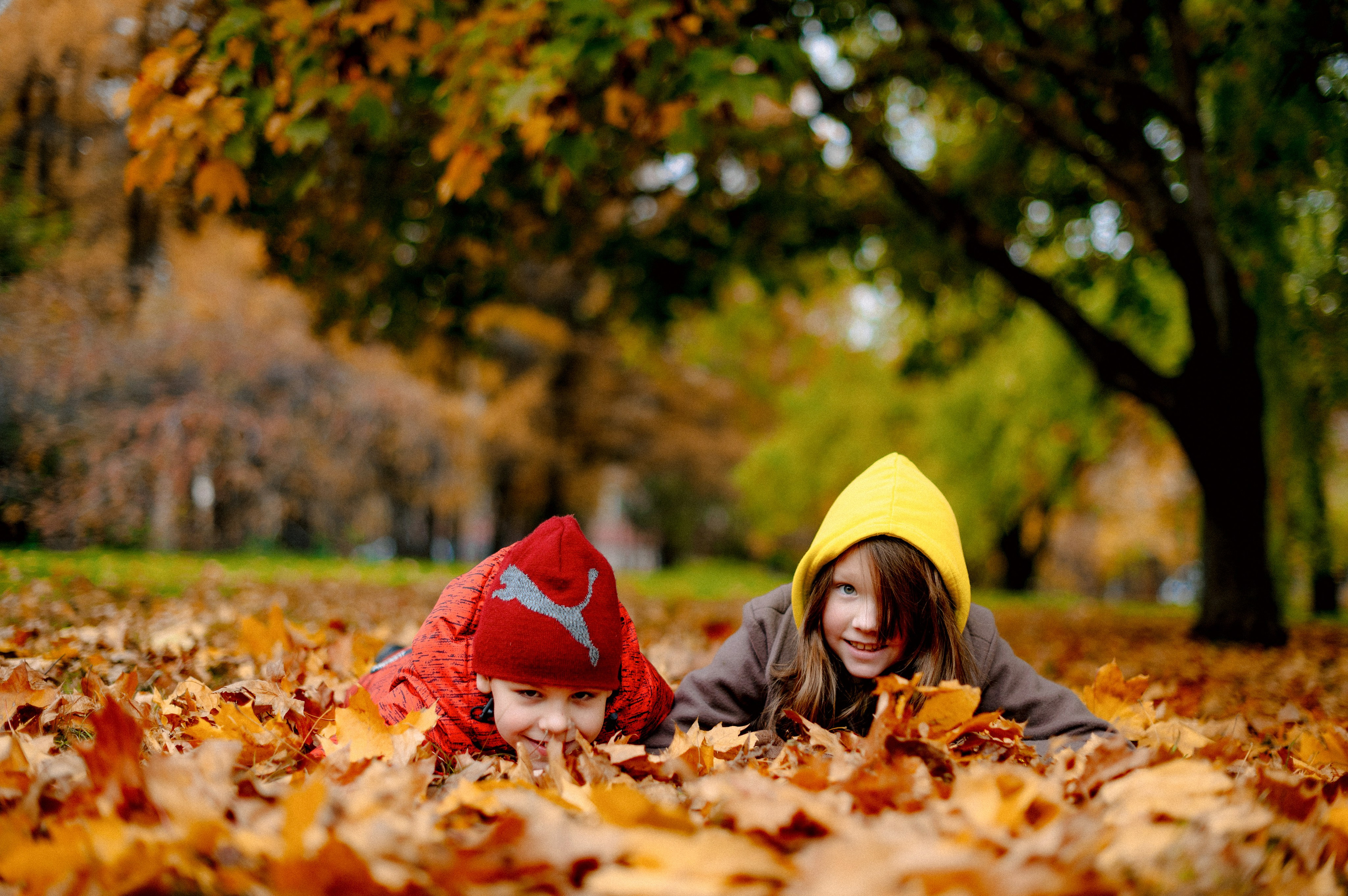 ОСЕННИЙ БОТСАД. Шашкова Вероника / Свадебный и семейный фотограф Москва и Ярославль