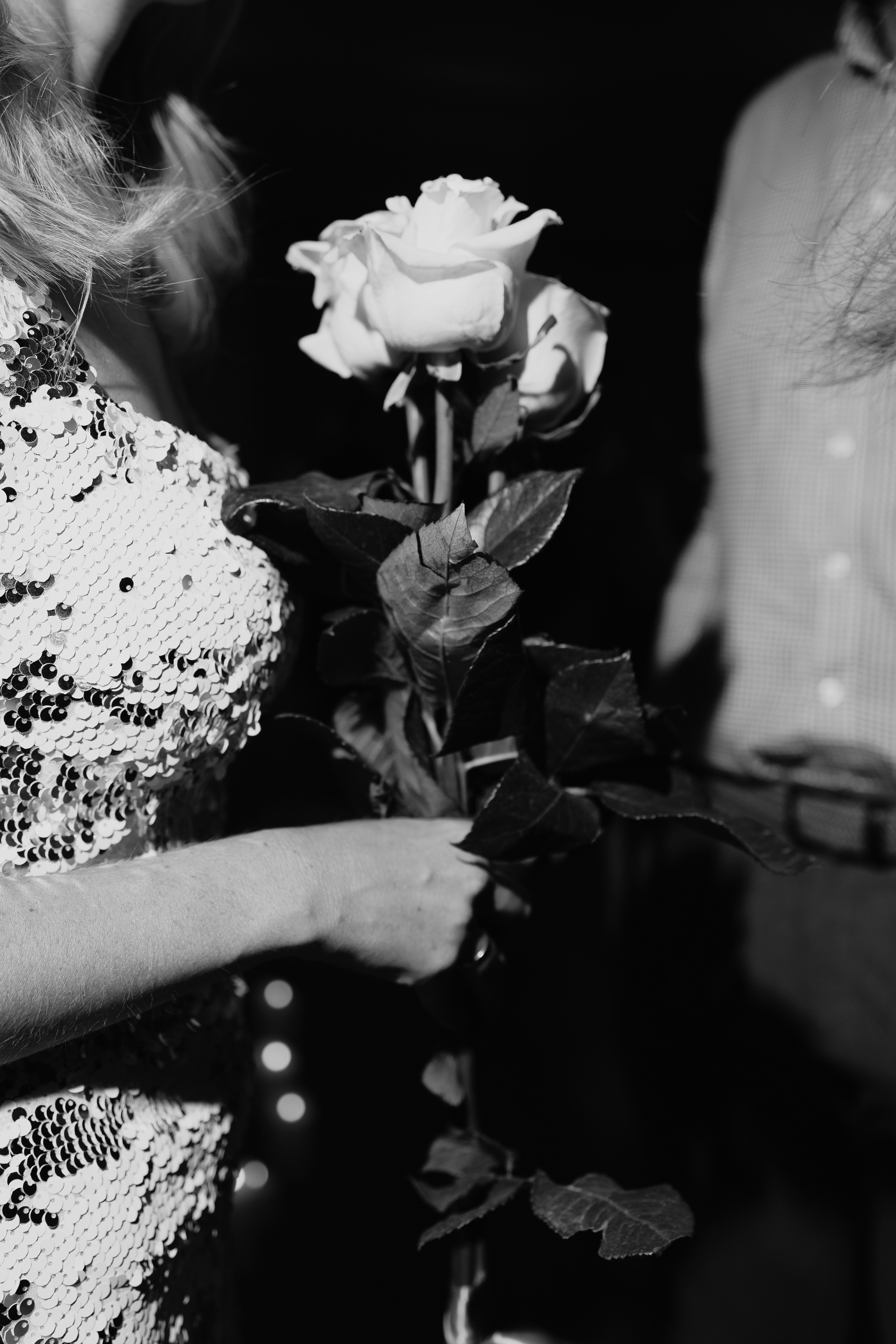 AMADEUS — Концерт. Портретный и репортажный фотограф в Казани Максим Сипачев