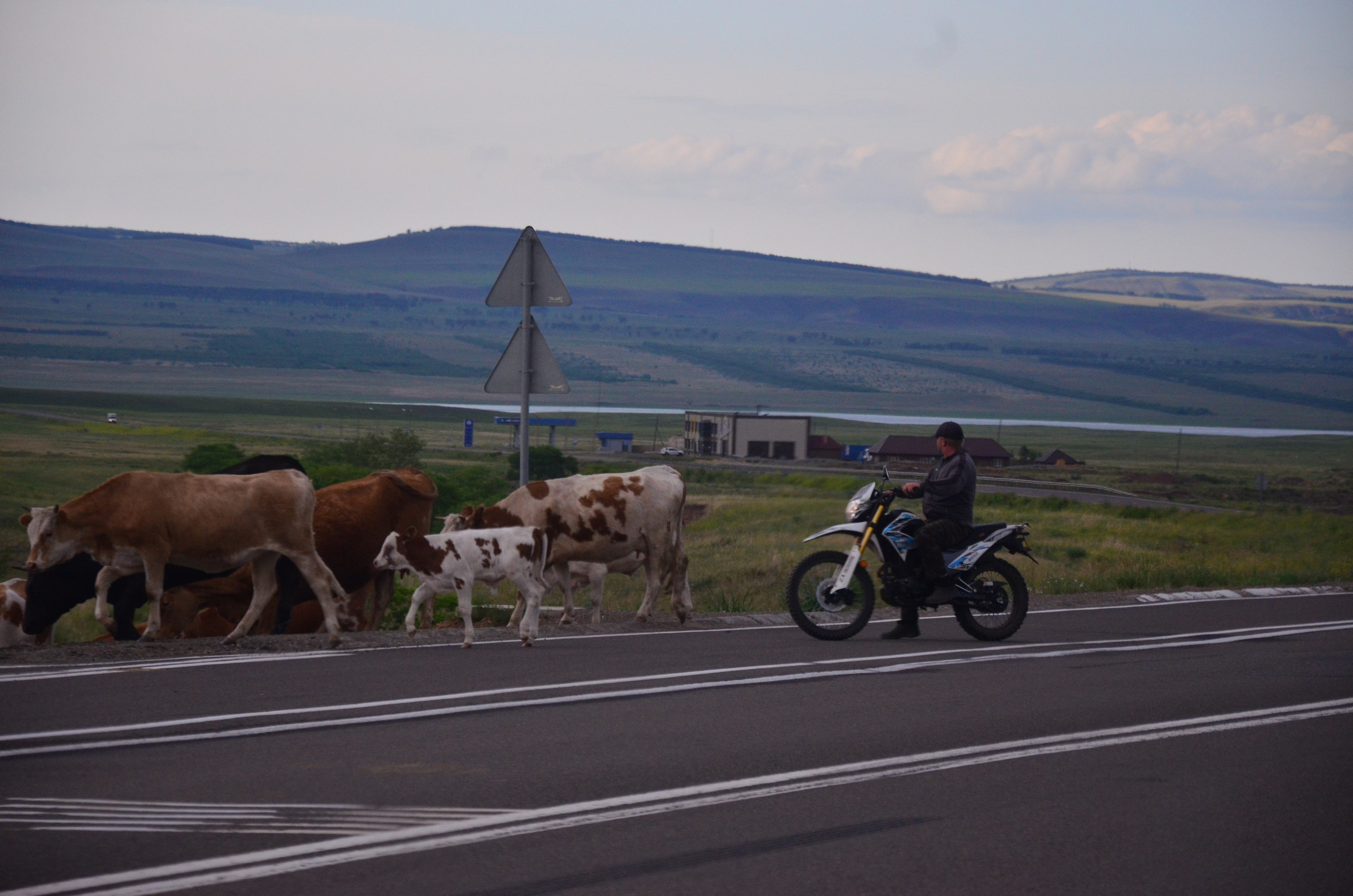 Дары природы. Фотограф viktor viktor
