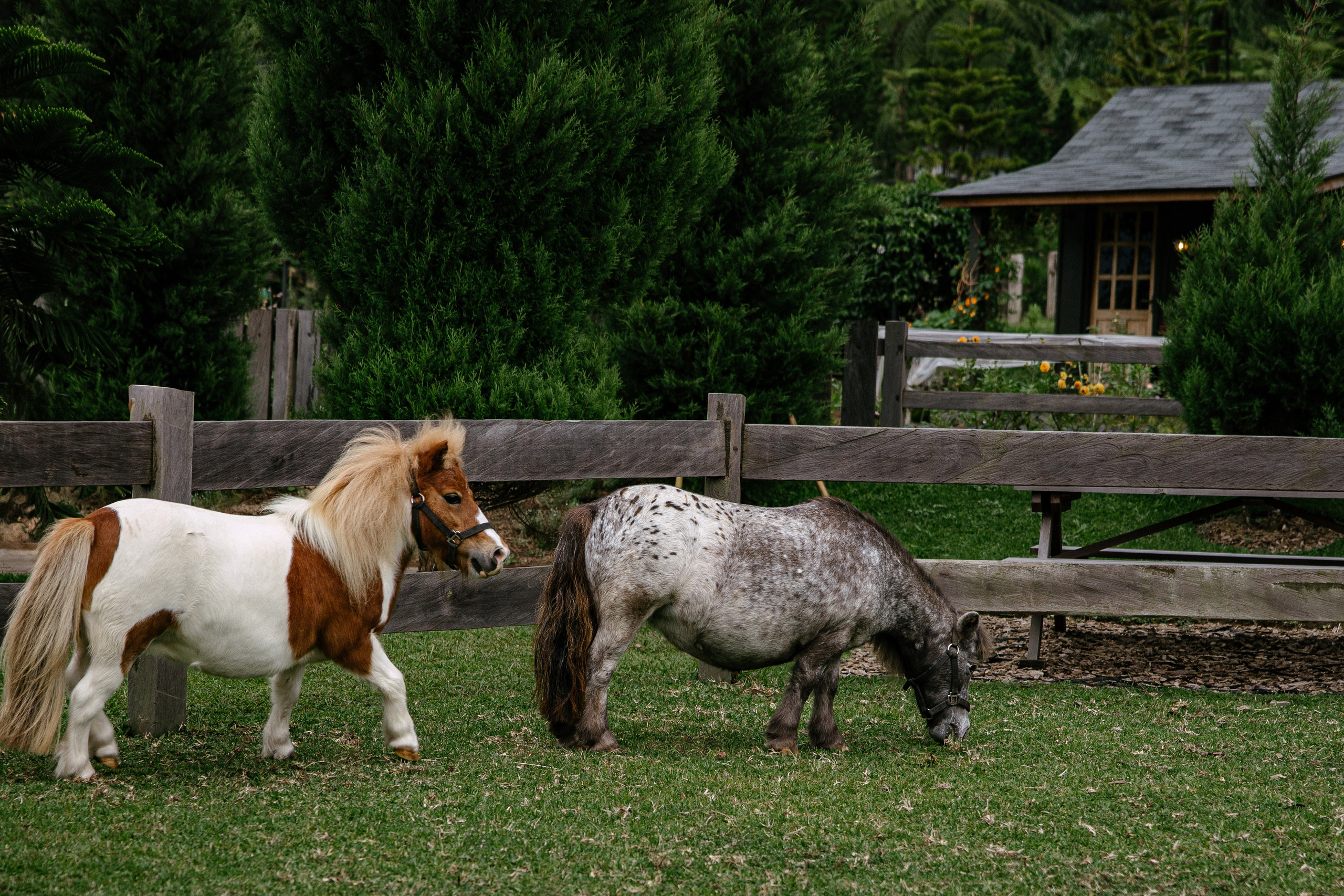 North trip. Профессиональный фотограф Нурмиева Вероника
