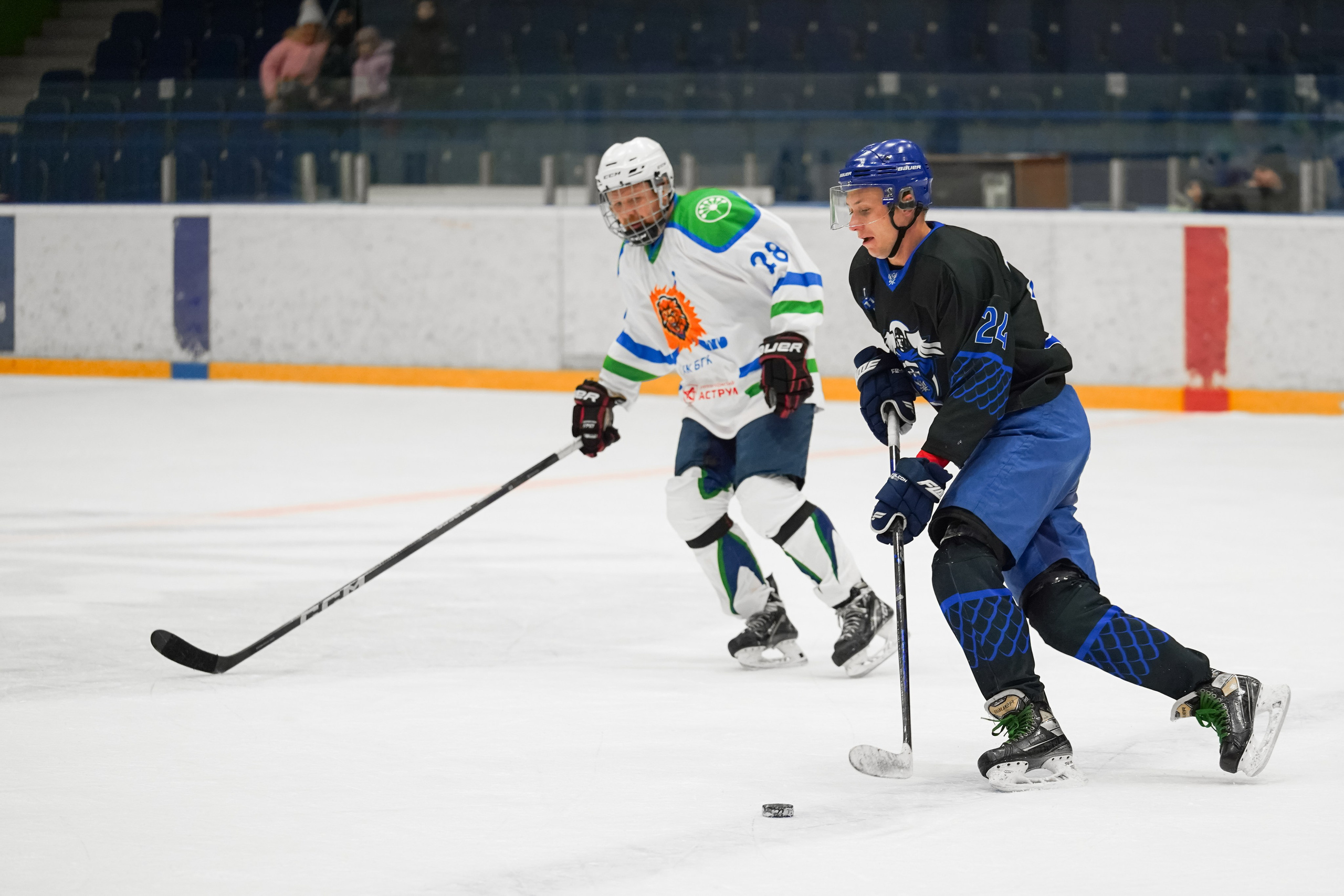 Башкирская хоккейная лига. Маслухин Дмитрий — Ваш Фотограф