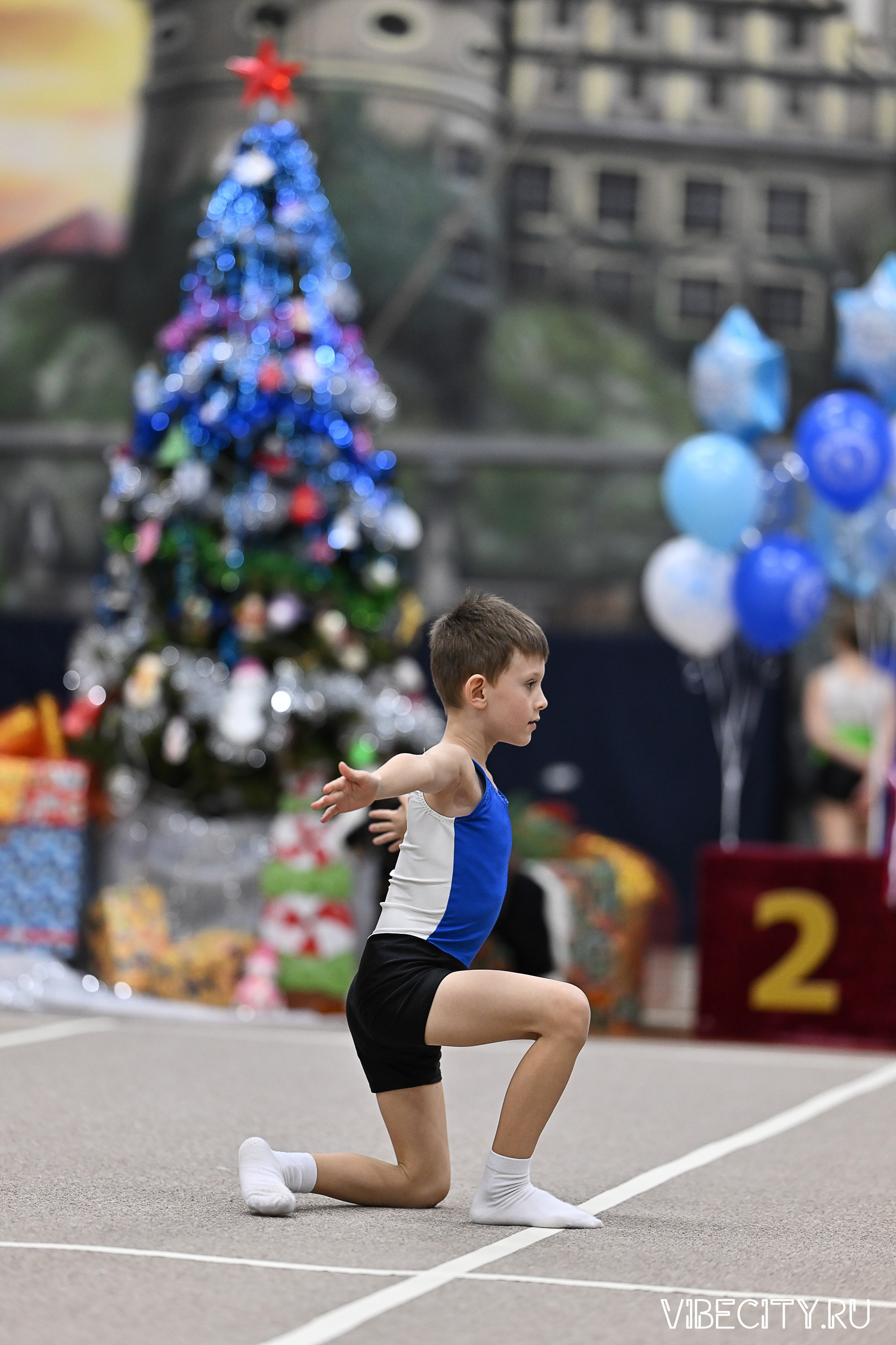 Контрольная тренировка по спортивной гимнастике. VIBECITY.RU Вайб Сити Ру Фоторепортажи Фотоотчеты Калининград