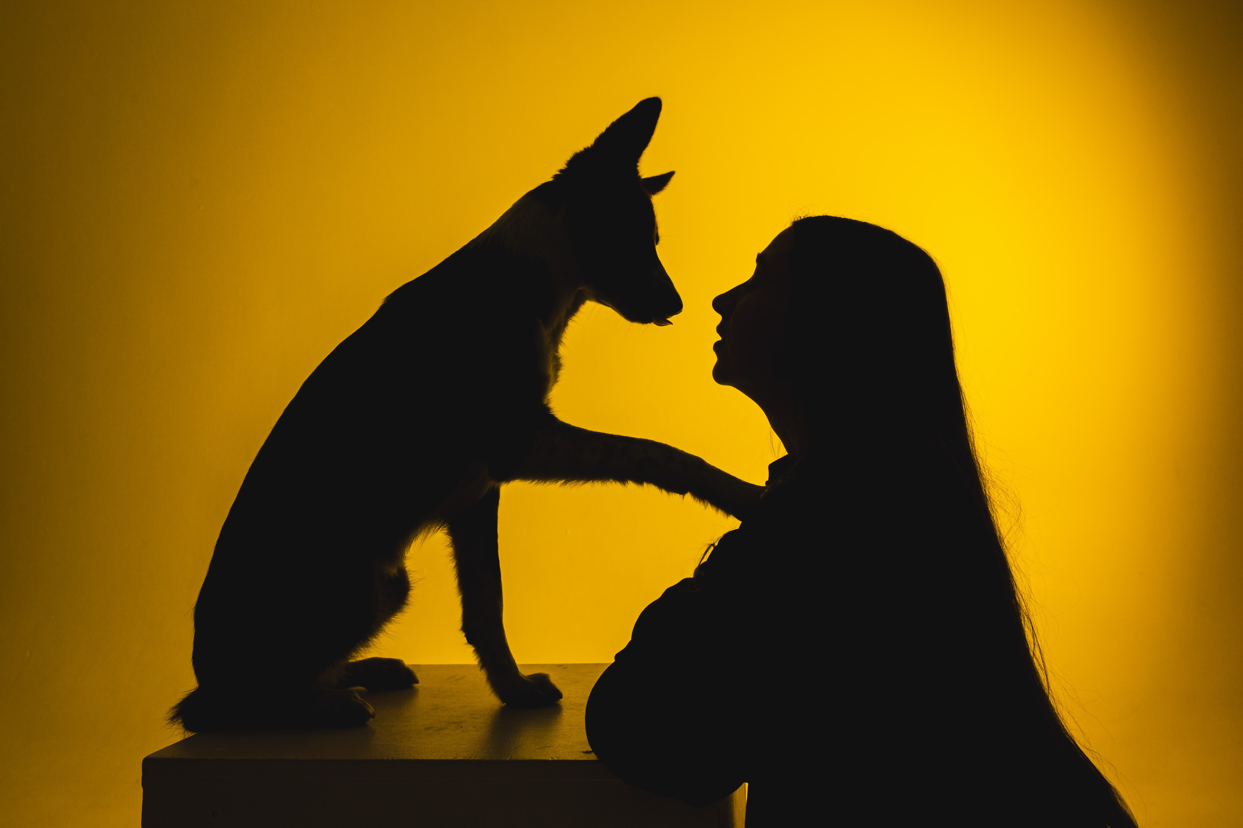 Воркшоп по импульсному свету