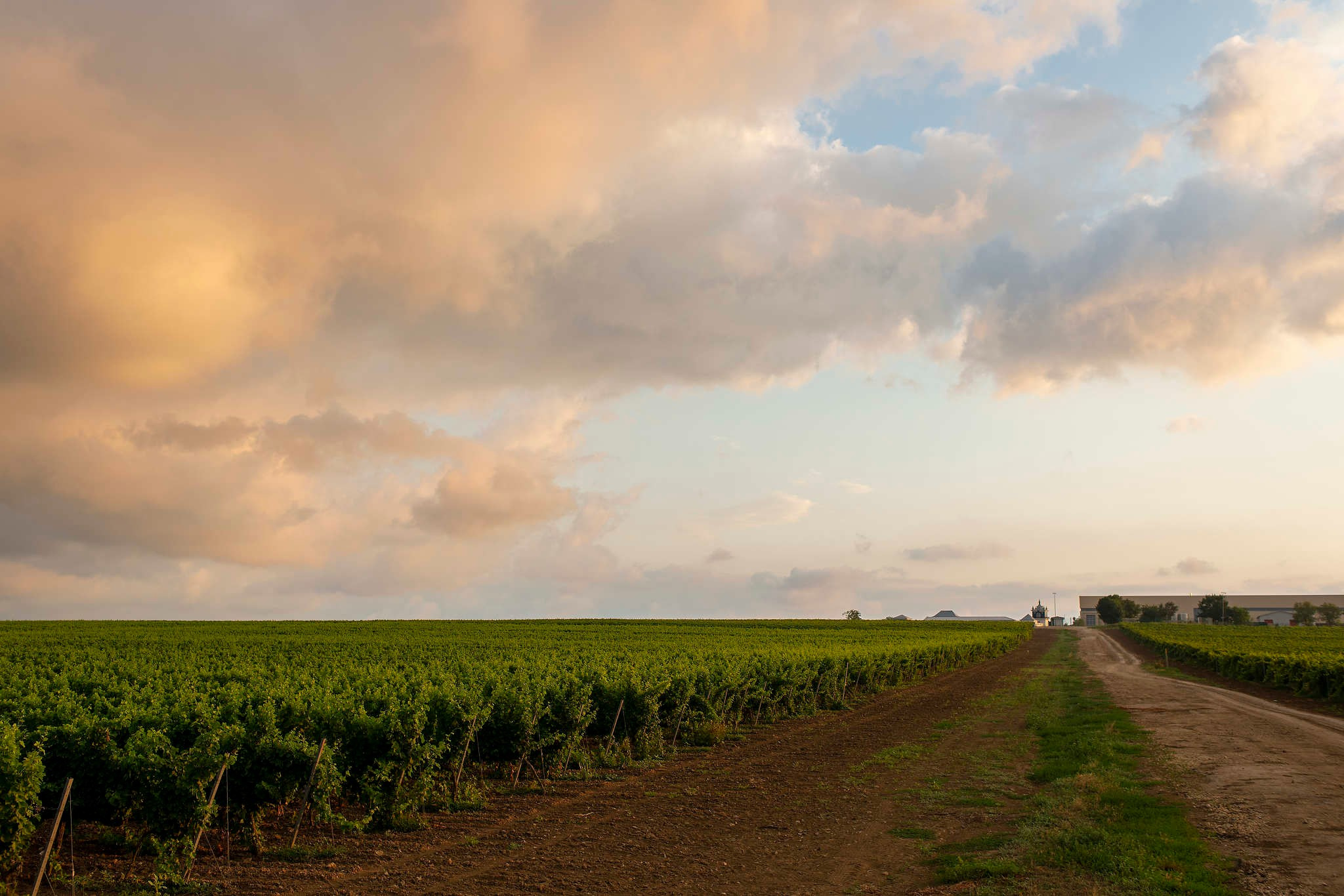 Винодельни Краснодарского края. Фотограф Михаил Мордасов, Сочи. Мероприятия, портреты, спорт, репортаж