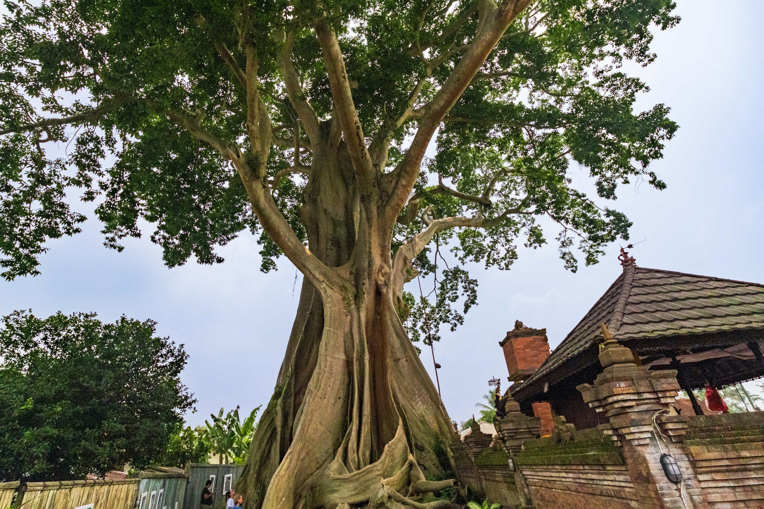 Остров Бали. Фотографии из путешествий