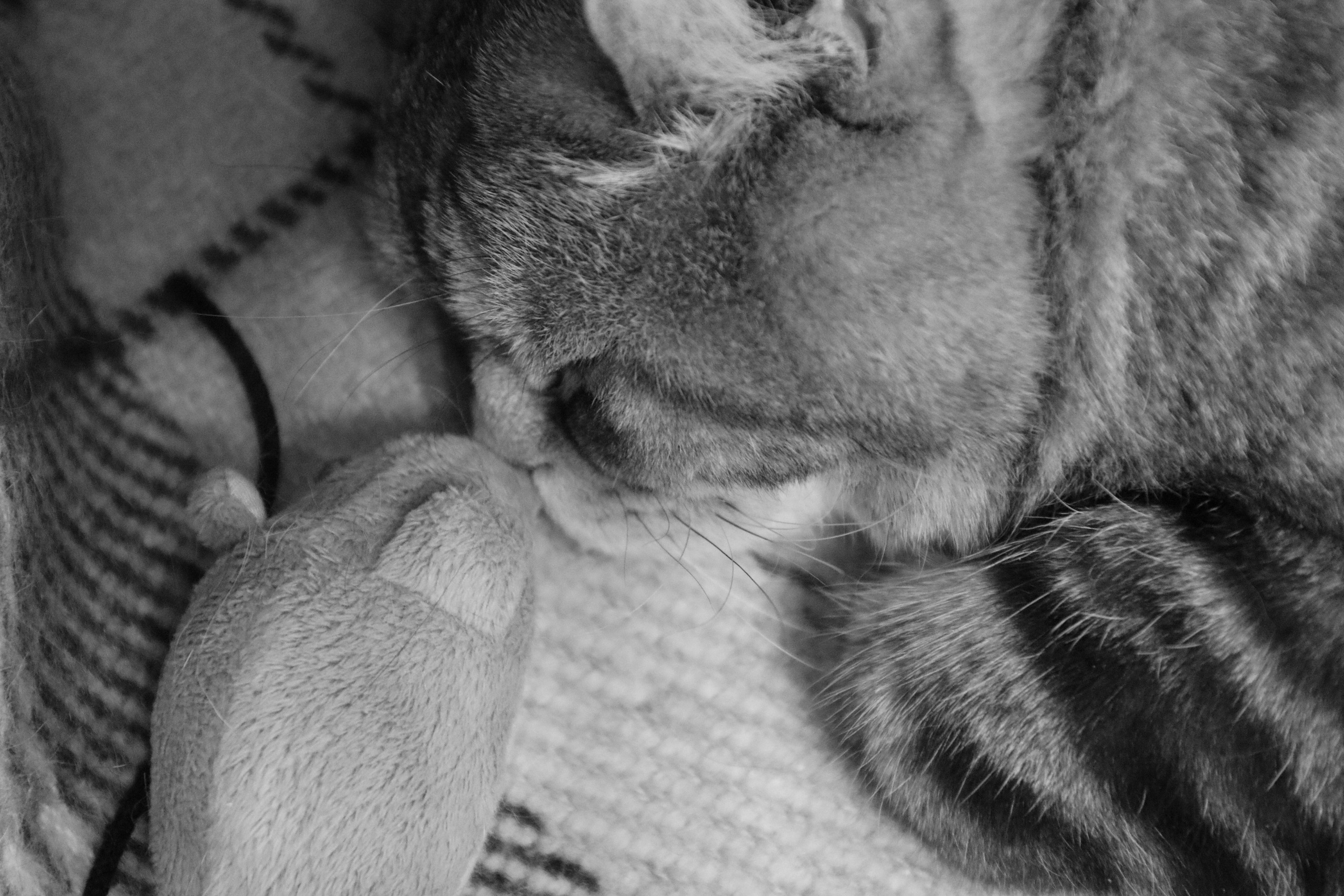 Сильвер. Путешественник-фотограф из Санкт-Петербурга Татьяна Свистулина