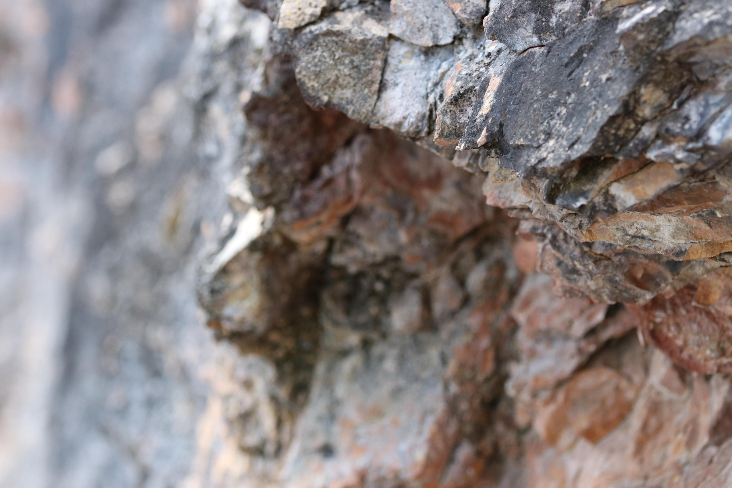 Румыния. Лаку-Рошу. Путешественник-фотограф из Санкт-Петербурга Татьяна Свистулина