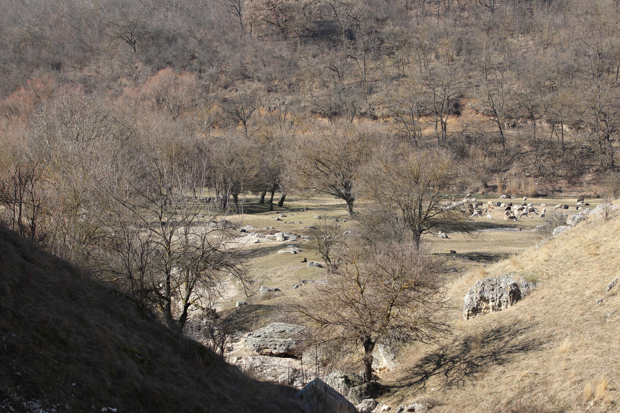 Республика Молдова. Путешественник-фотограф из Санкт-Петербурга Татьяна Свистулина