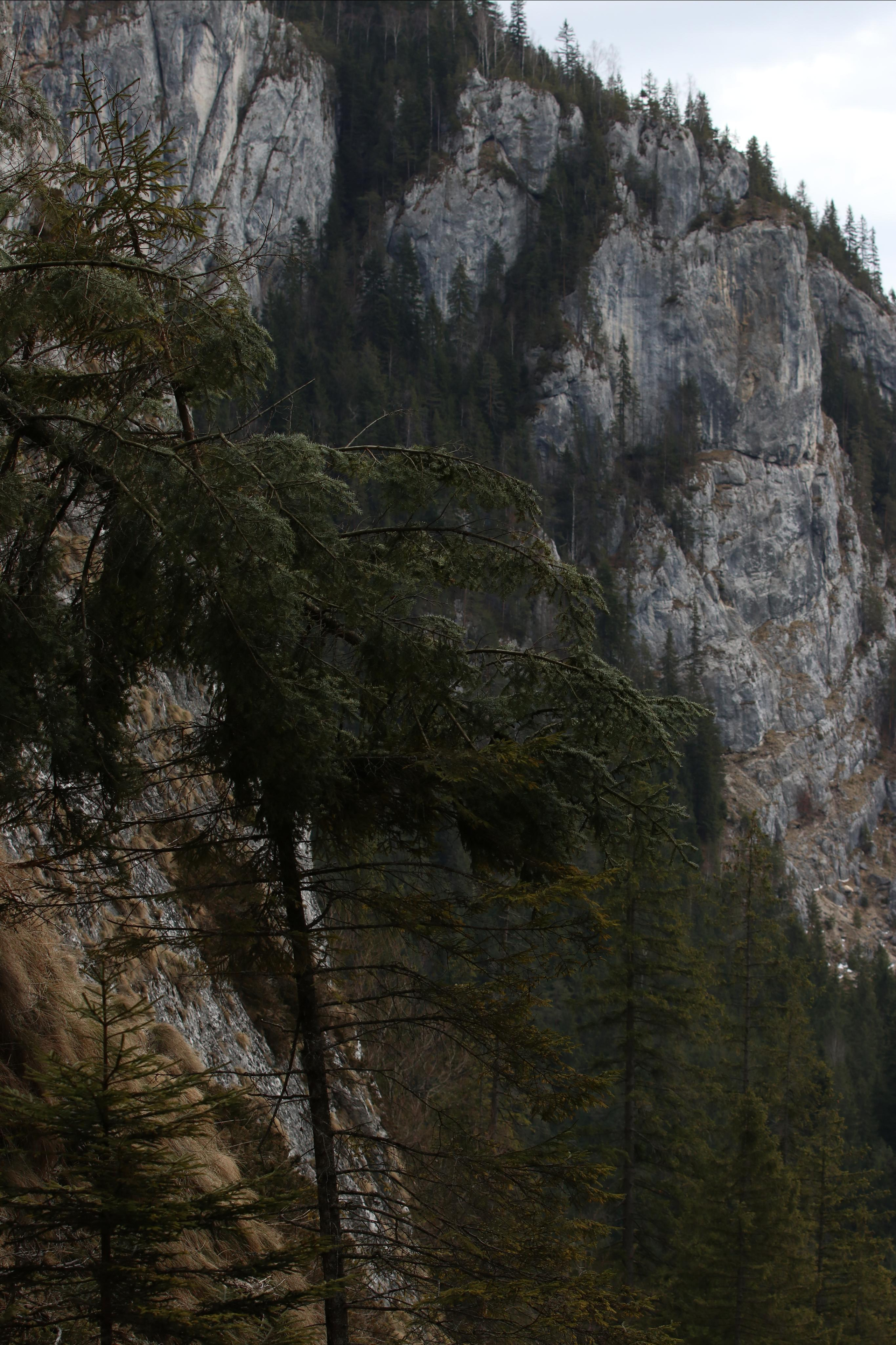 Румыния. Лаку-Рошу. Путешественник-фотограф из Санкт-Петербурга Татьяна Свистулина
