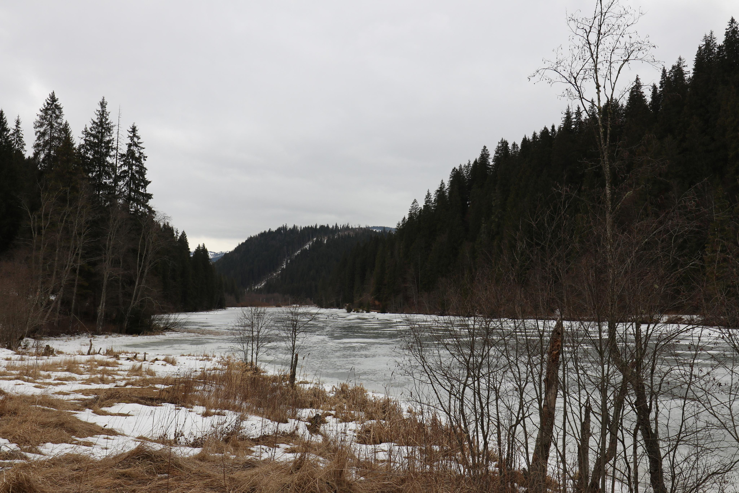 Румыния. Лаку-Рошу. Путешественник-фотограф из Санкт-Петербурга Татьяна Свистулина