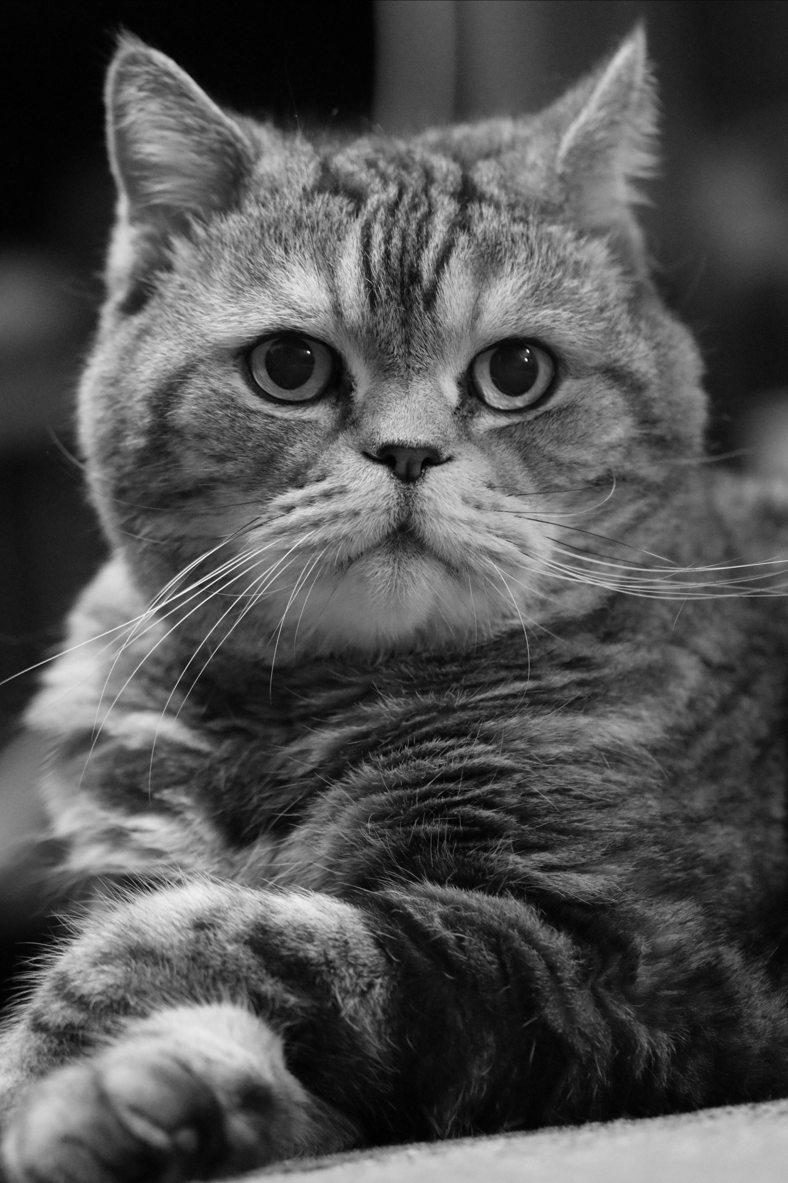 Сильвер. Путешественник-фотограф из Санкт-Петербурга Татьяна Свистулина