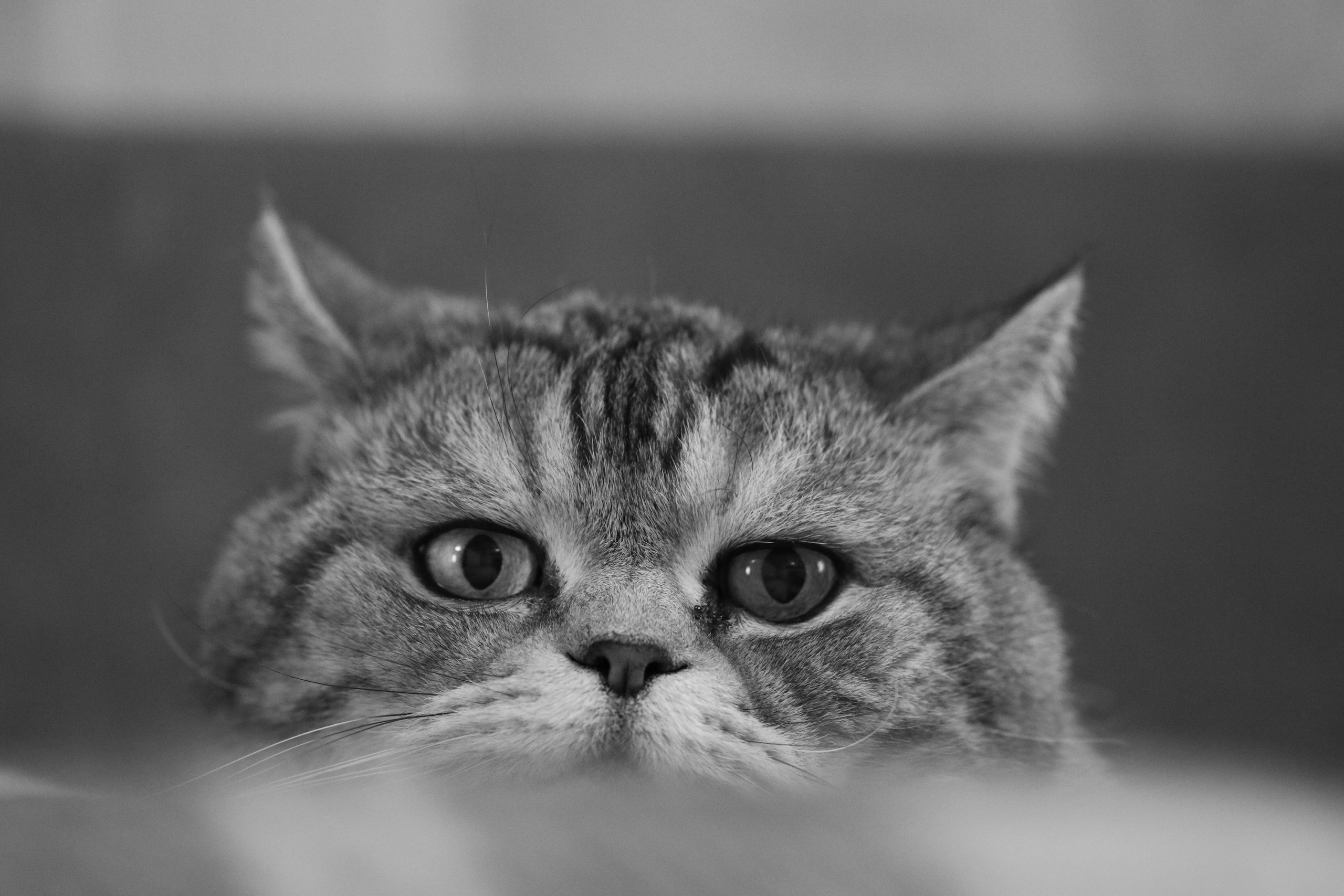 Сильвер. Путешественник-фотограф из Санкт-Петербурга Татьяна Свистулина