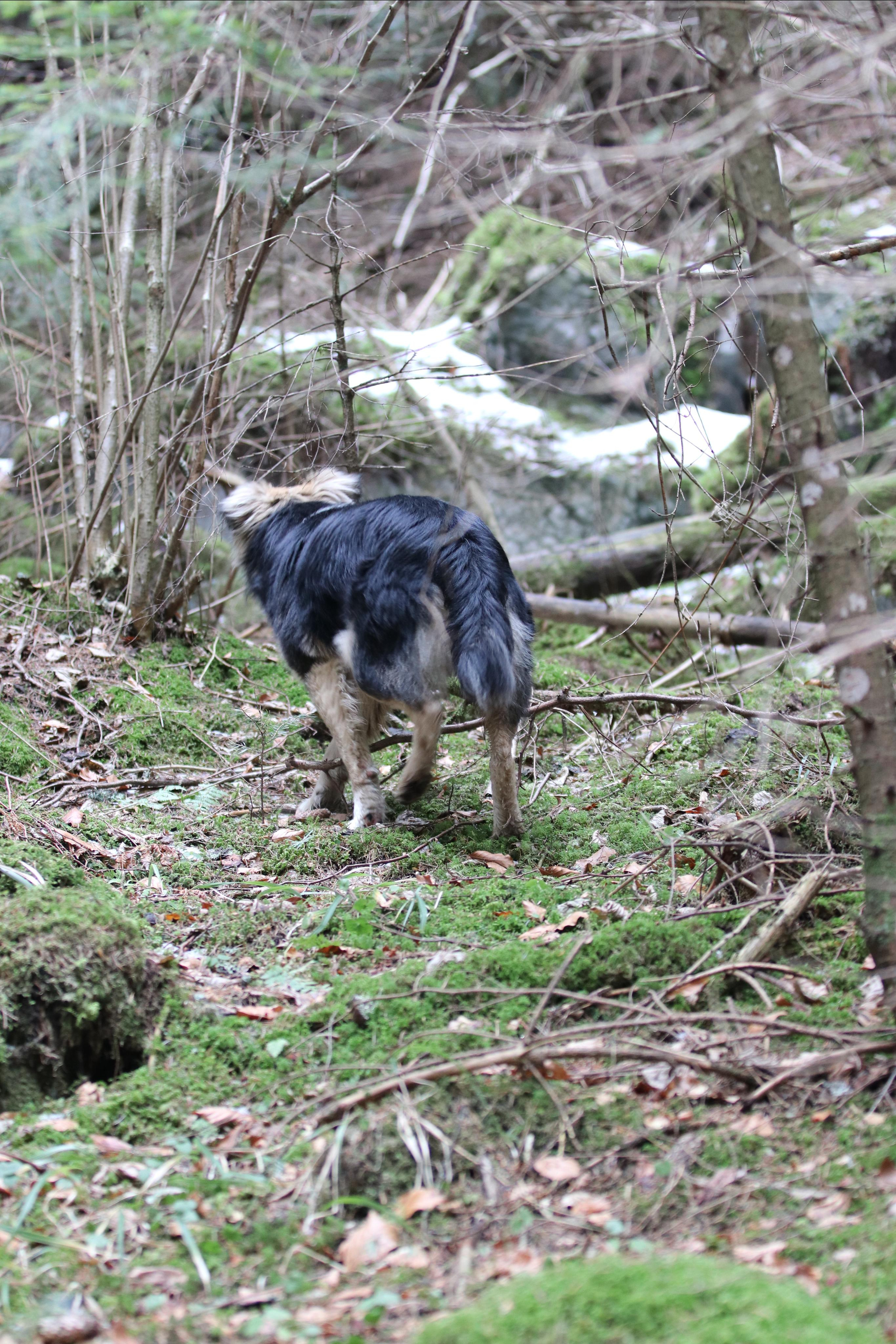 Румыния. Лаку-Рошу. Путешественник-фотограф из Санкт-Петербурга Татьяна Свистулина