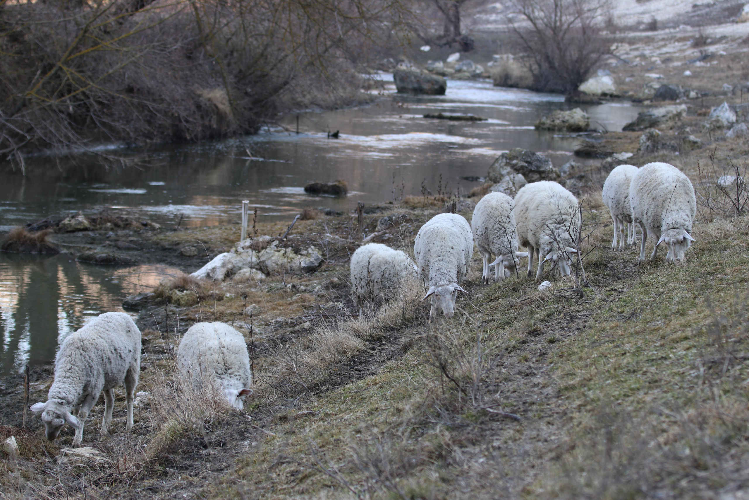 Республика Молдова. Путешественник-фотограф из Санкт-Петербурга Татьяна Свистулина