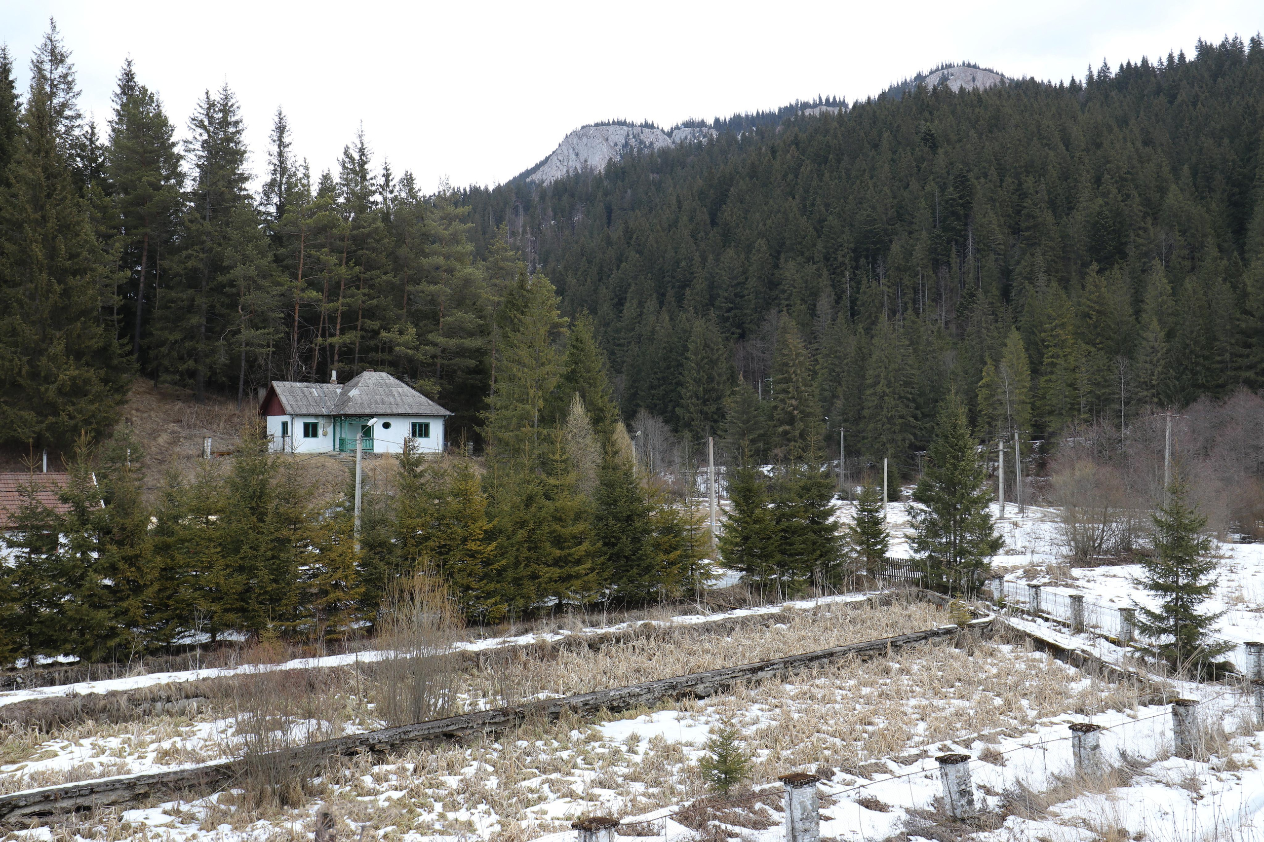 Румыния. Лаку-Рошу. Путешественник-фотограф из Санкт-Петербурга Татьяна Свистулина