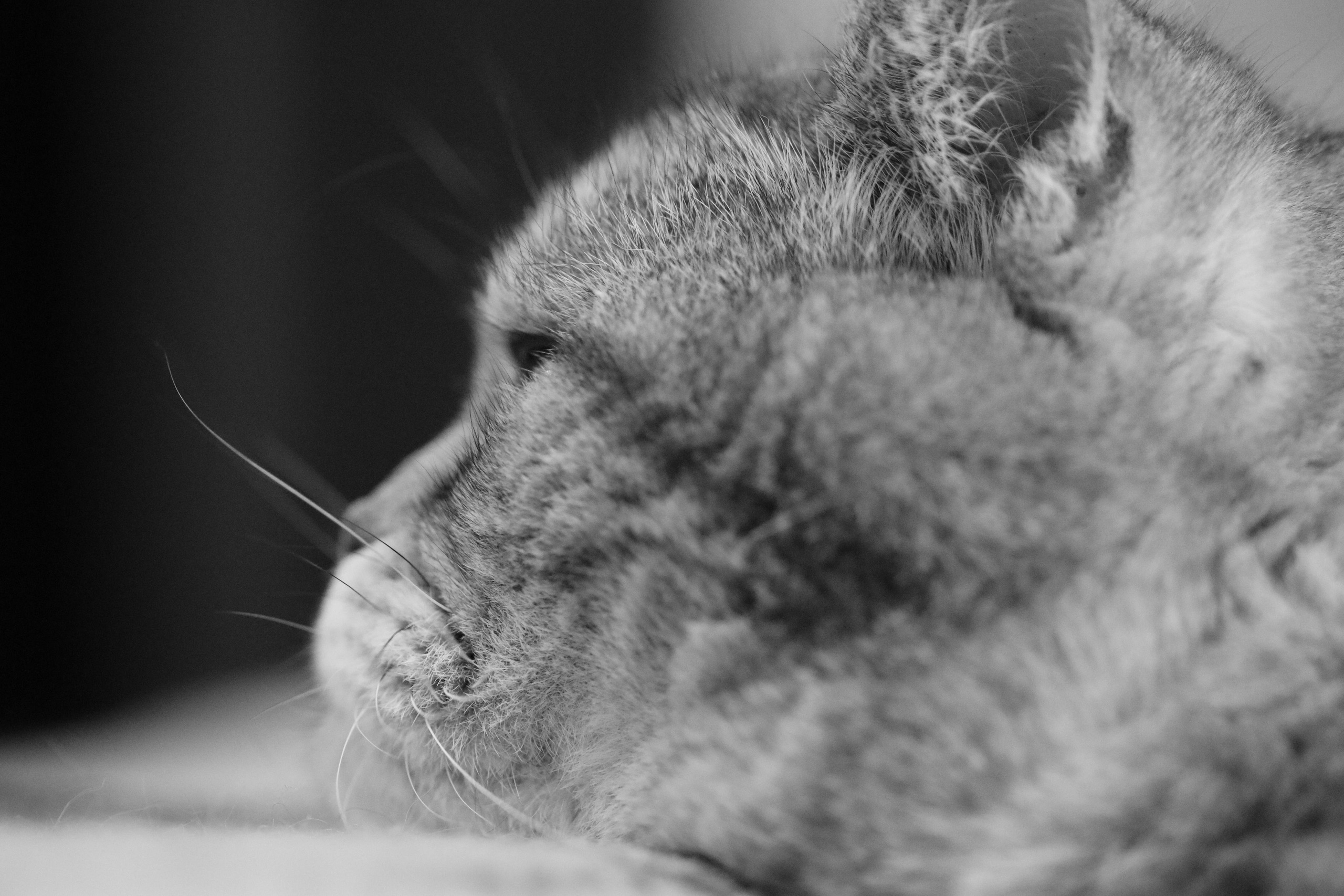 Сильвер. Путешественник-фотограф из Санкт-Петербурга Татьяна Свистулина