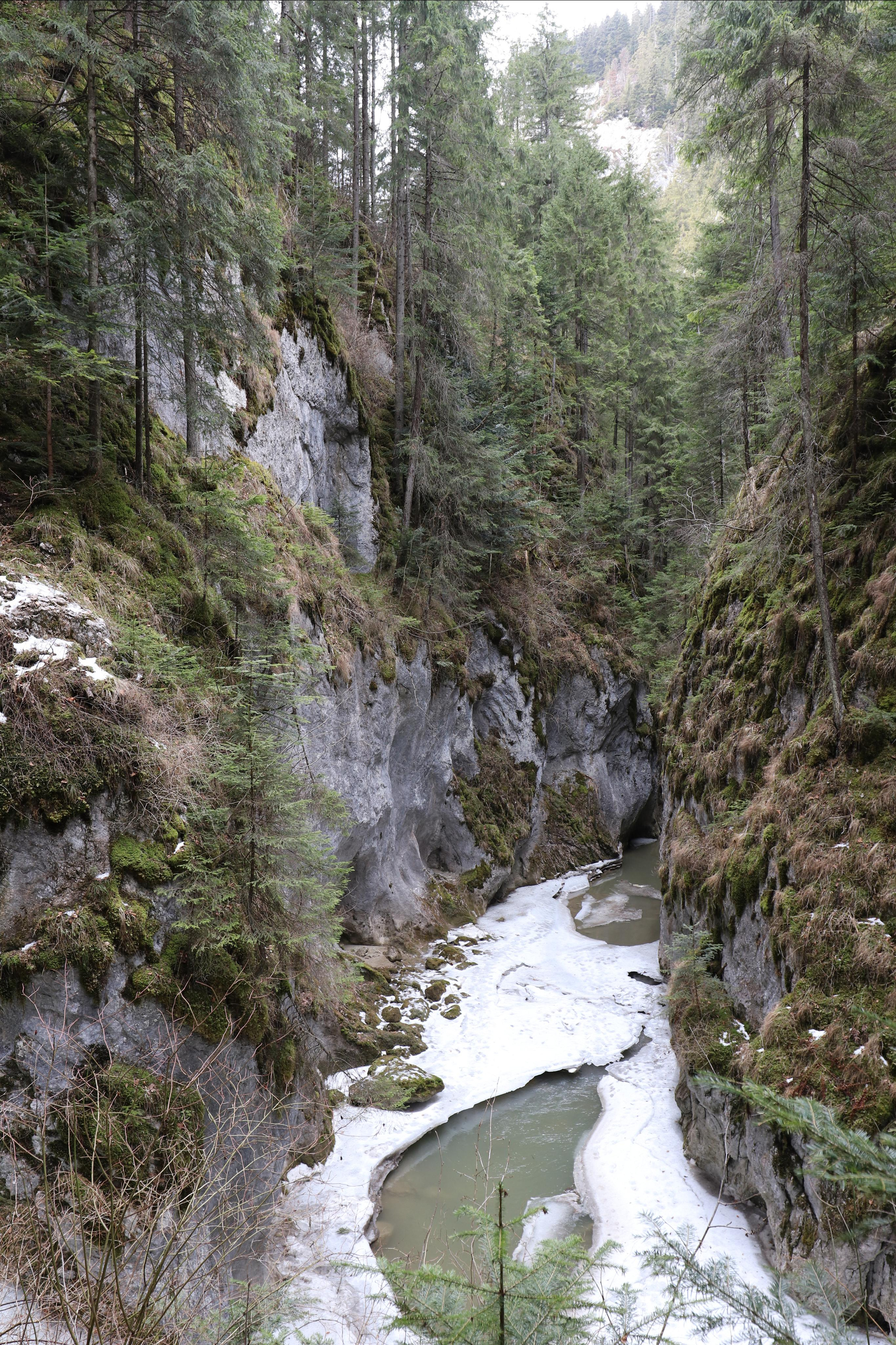 Румыния. Лаку-Рошу. Путешественник-фотограф из Санкт-Петербурга Татьяна Свистулина
