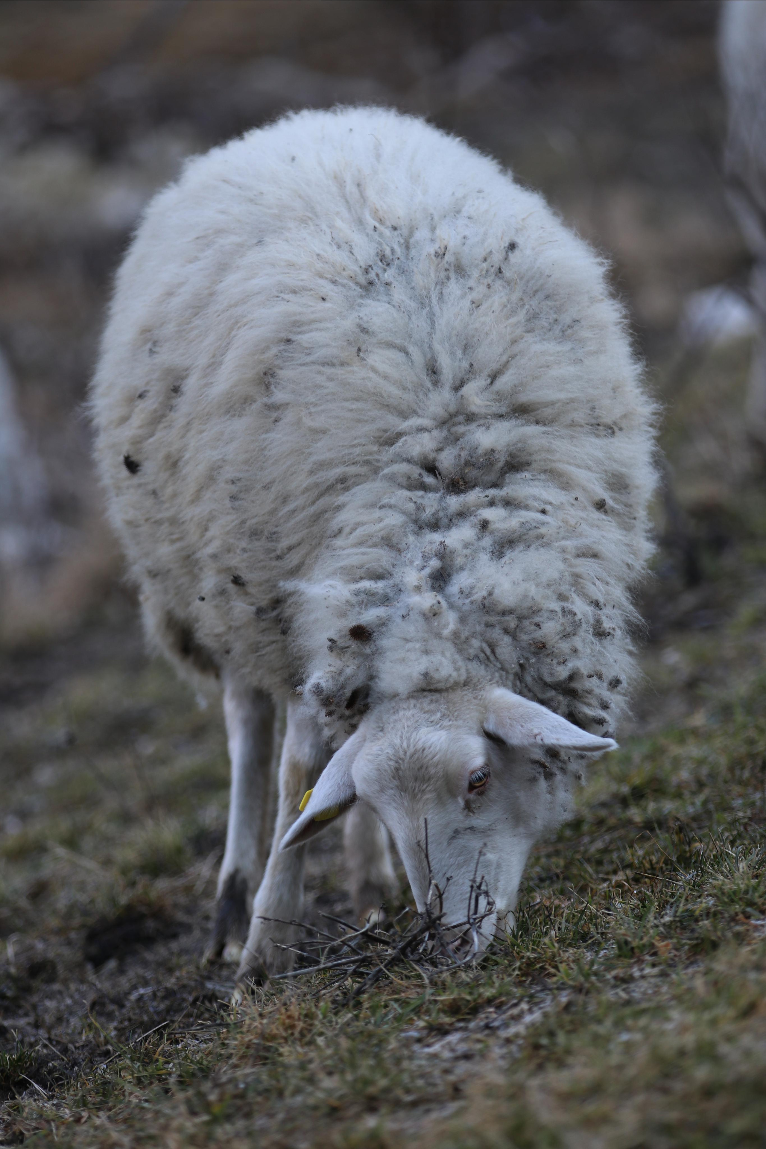 Республика Молдова. Путешественник-фотограф из Санкт-Петербурга Татьяна Свистулина