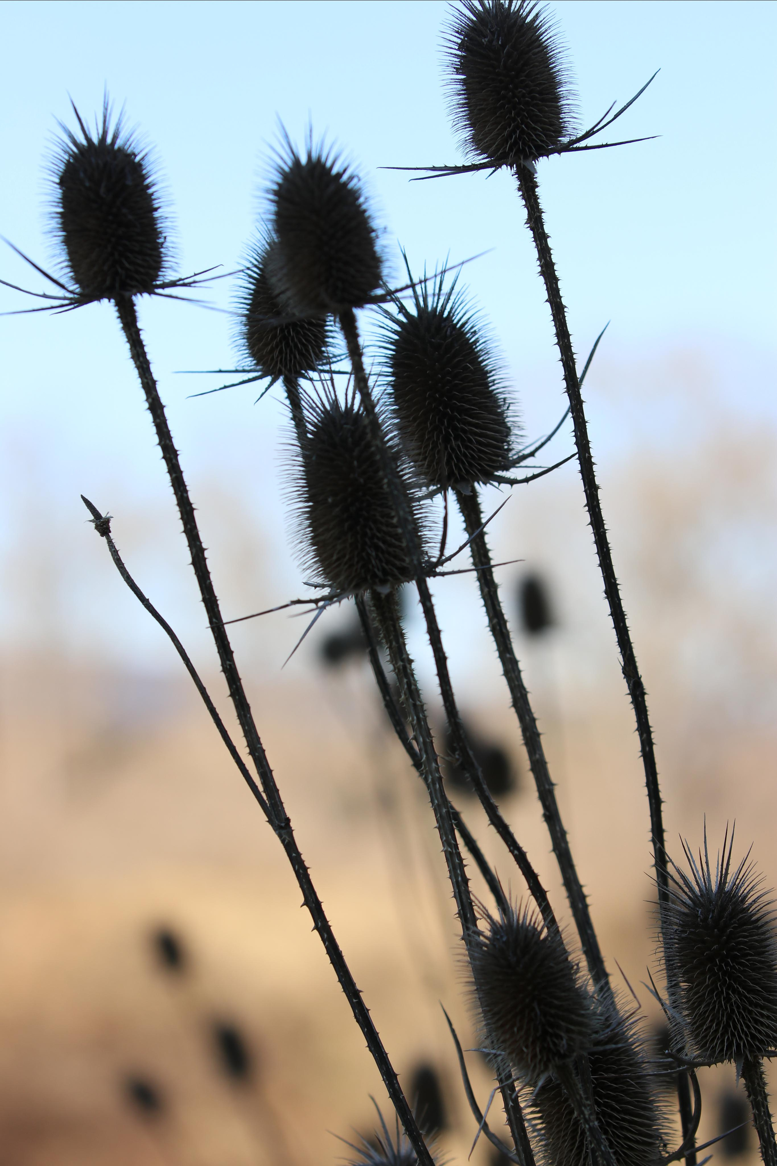 Республика Молдова. Путешественник-фотограф из Санкт-Петербурга Татьяна Свистулина