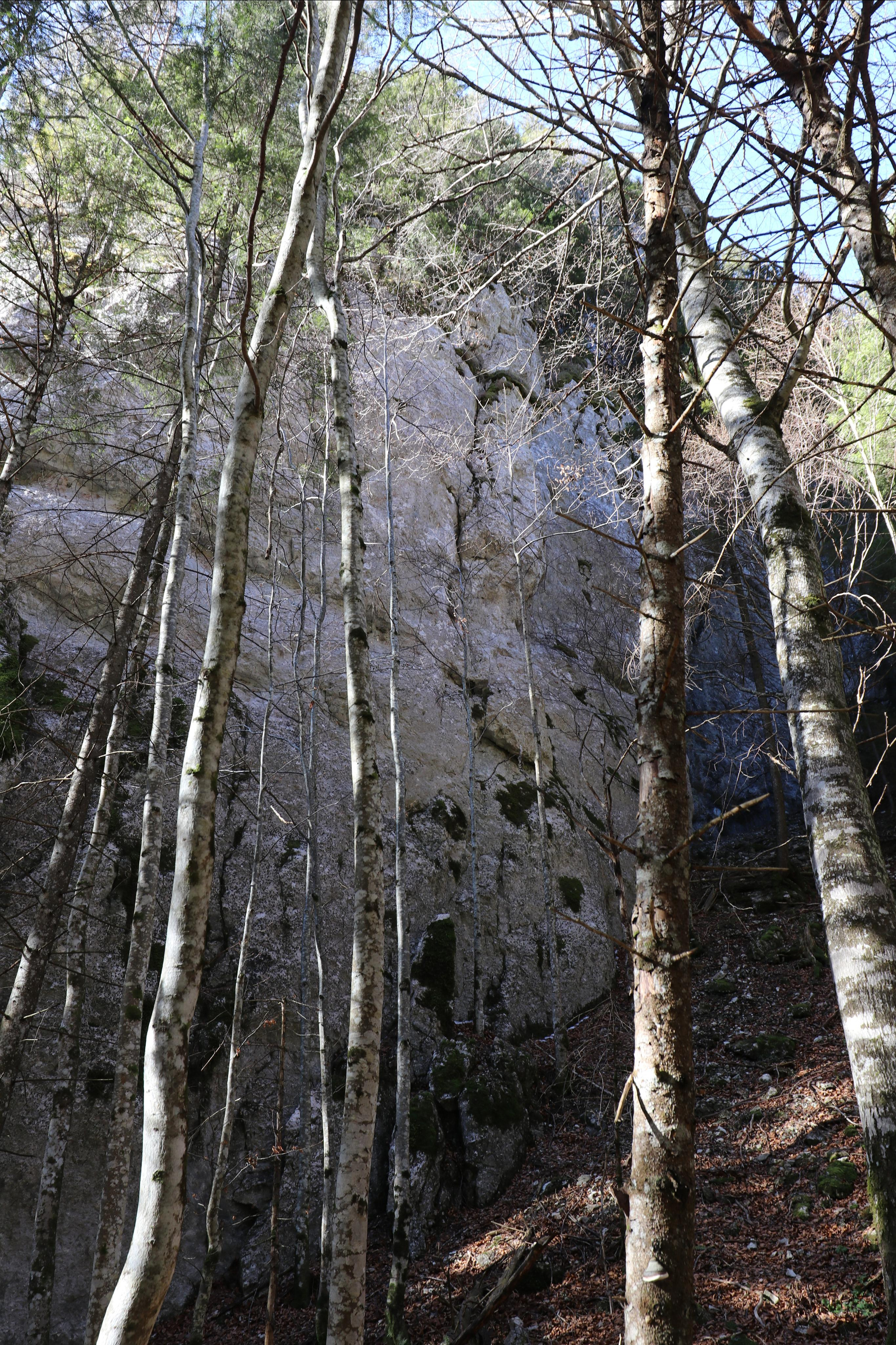 Румыния. Лаку-Рошу. Путешественник-фотограф из Санкт-Петербурга Татьяна Свистулина