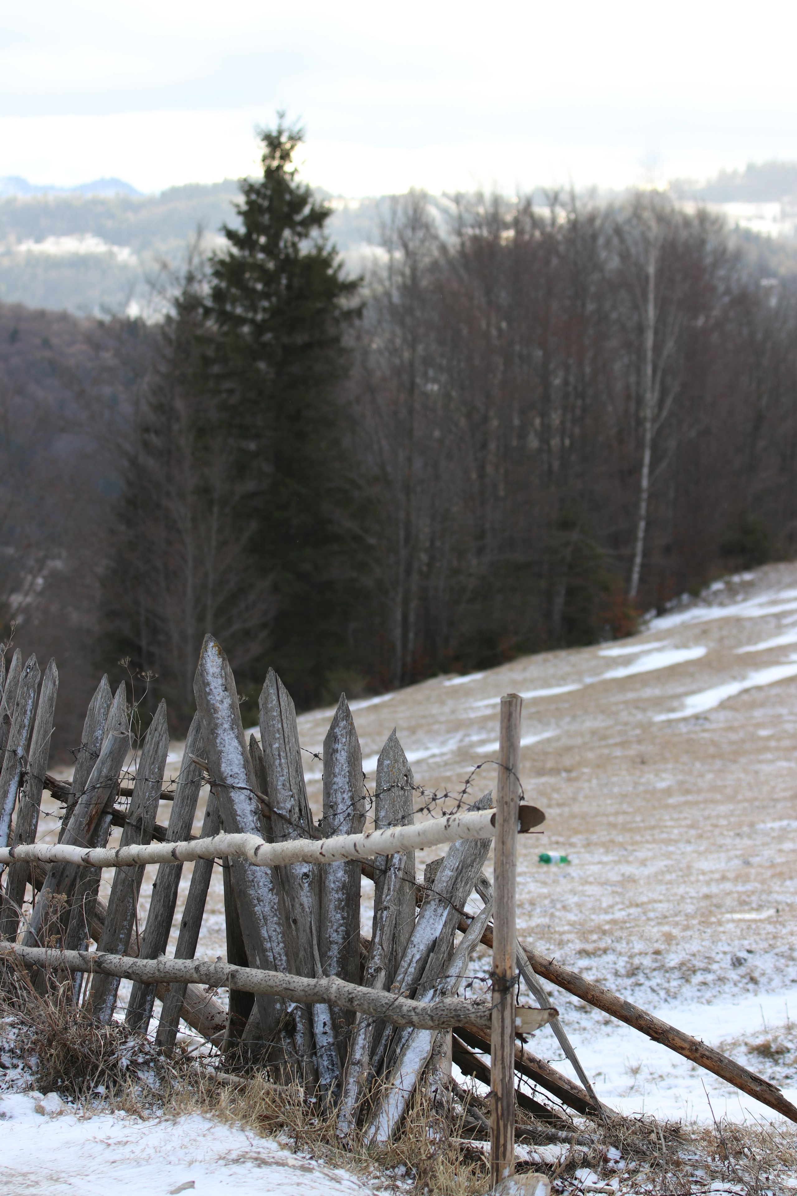 Румыния. Лаку-Рошу. Путешественник-фотограф из Санкт-Петербурга Татьяна Свистулина