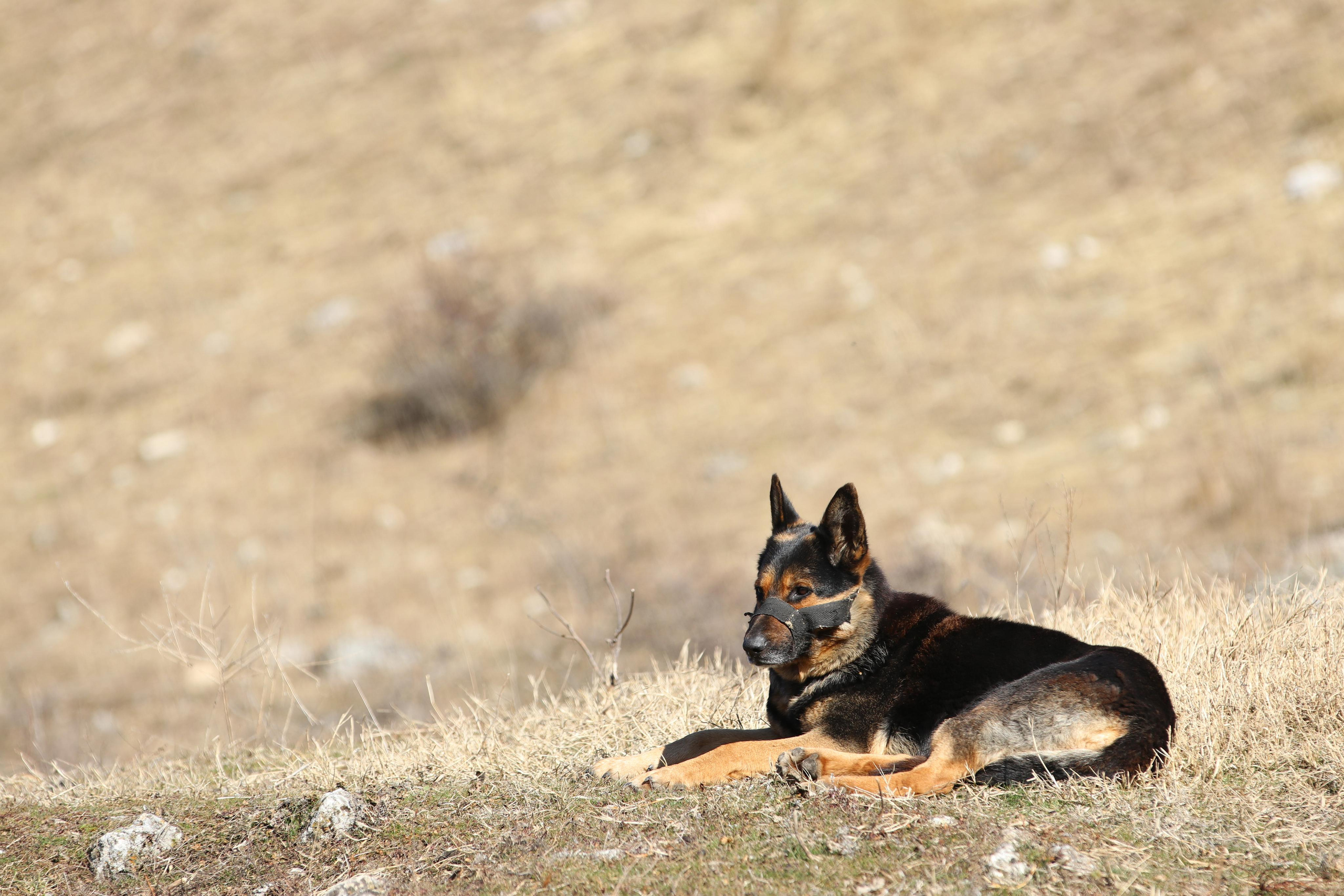 Республика Молдова. Путешественник-фотограф из Санкт-Петербурга Татьяна Свистулина