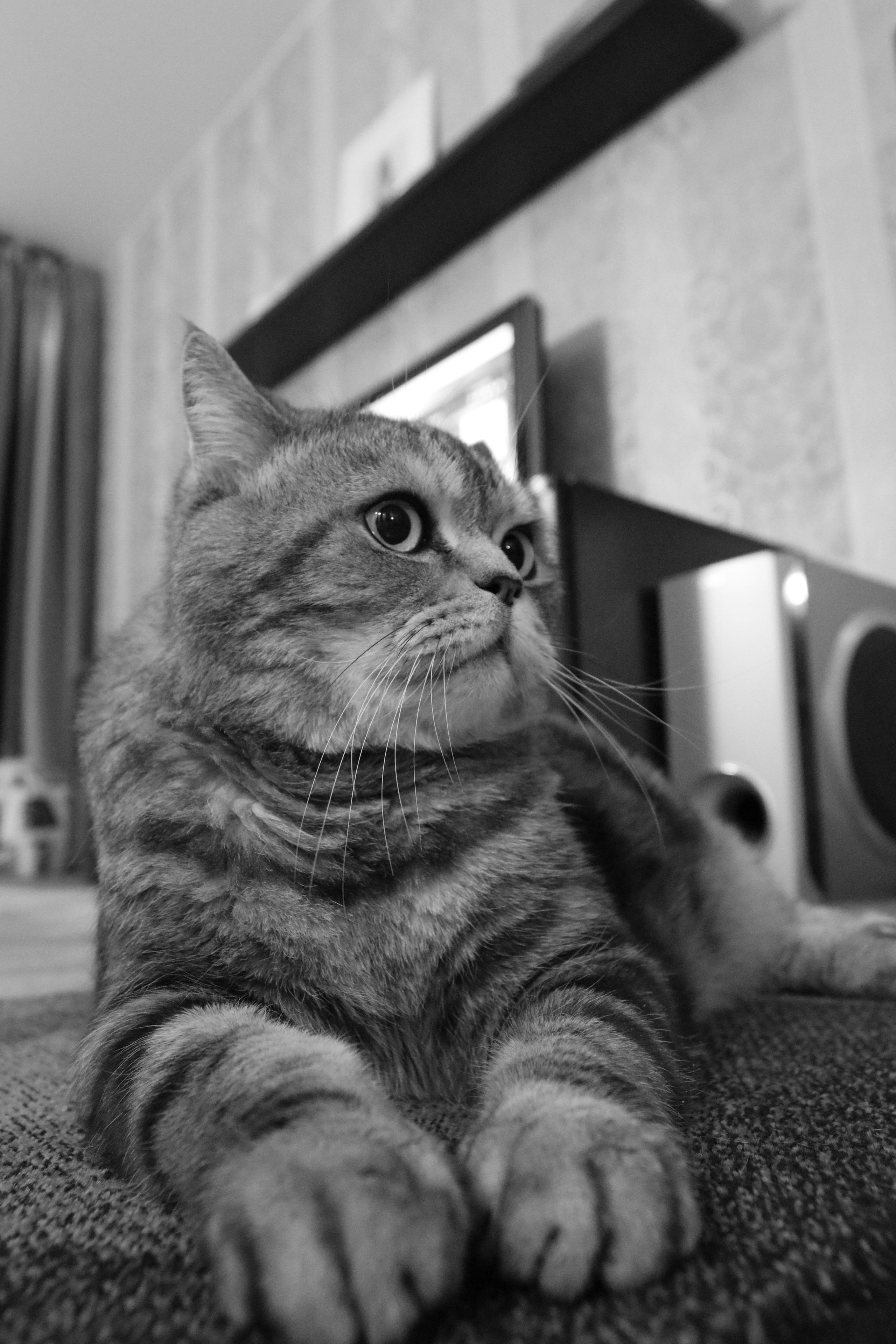 Сильвер. Путешественник-фотограф из Санкт-Петербурга Татьяна Свистулина