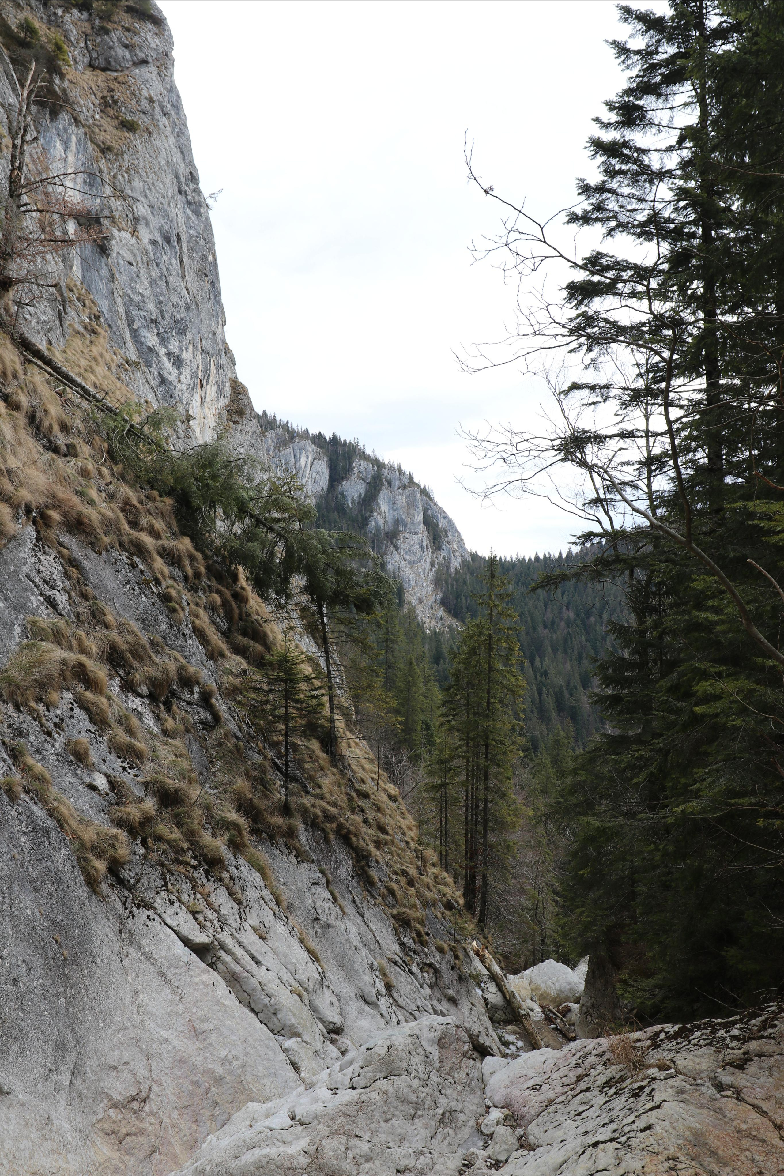 Румыния. Лаку-Рошу. Путешественник-фотограф из Санкт-Петербурга Татьяна Свистулина
