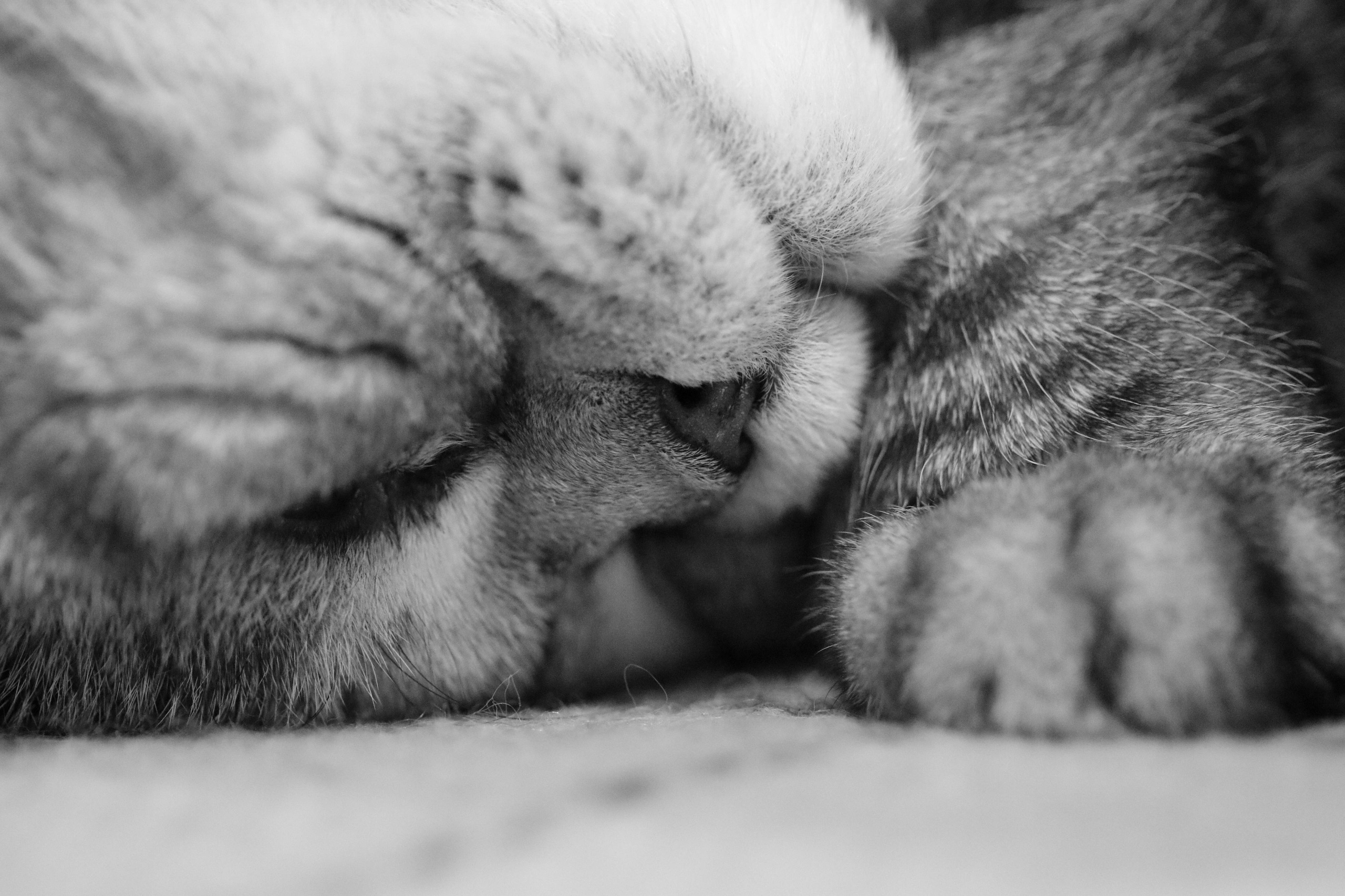 Сильвер. Путешественник-фотограф из Санкт-Петербурга Татьяна Свистулина