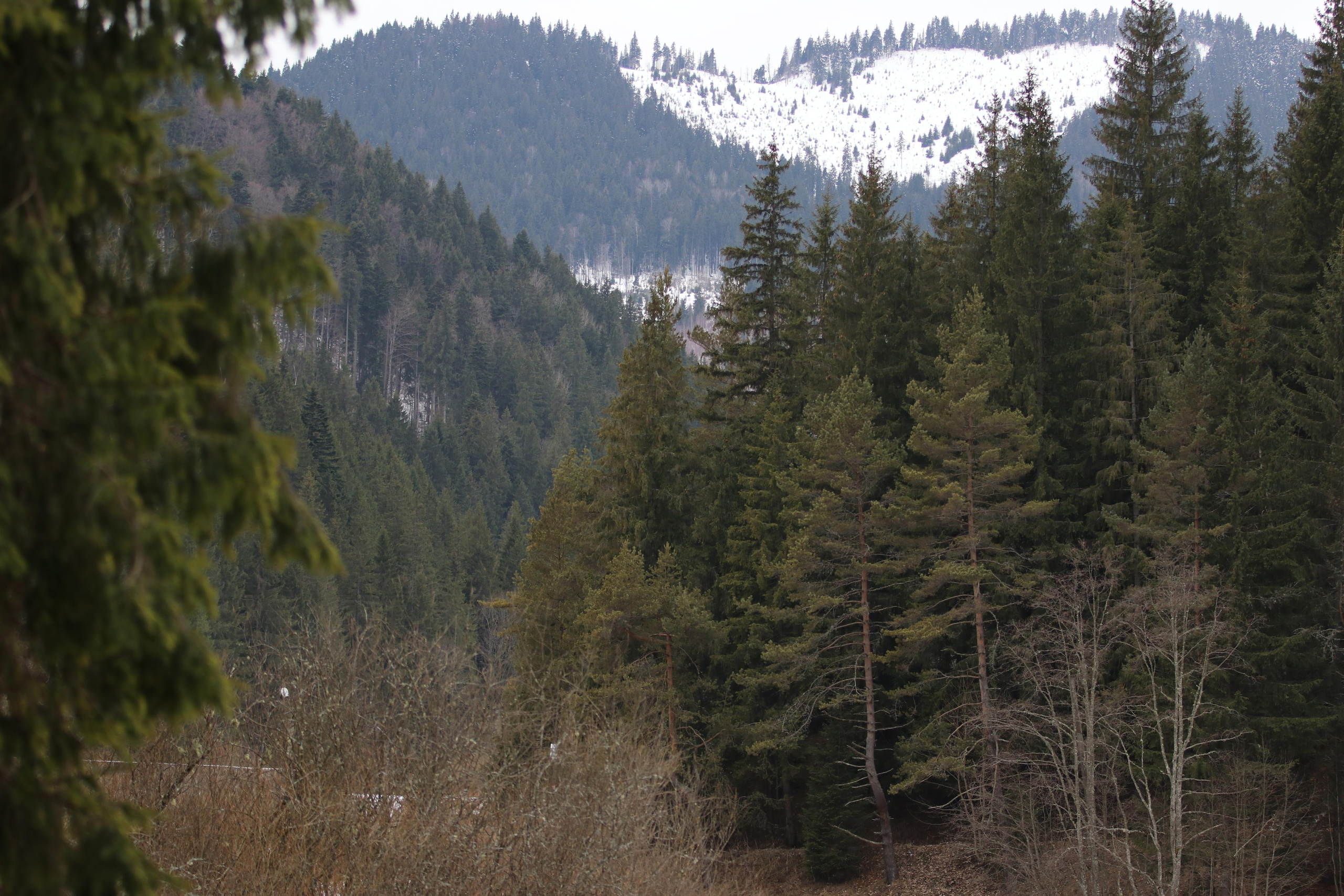 Румыния. Лаку-Рошу. Путешественник-фотограф из Санкт-Петербурга Татьяна Свистулина