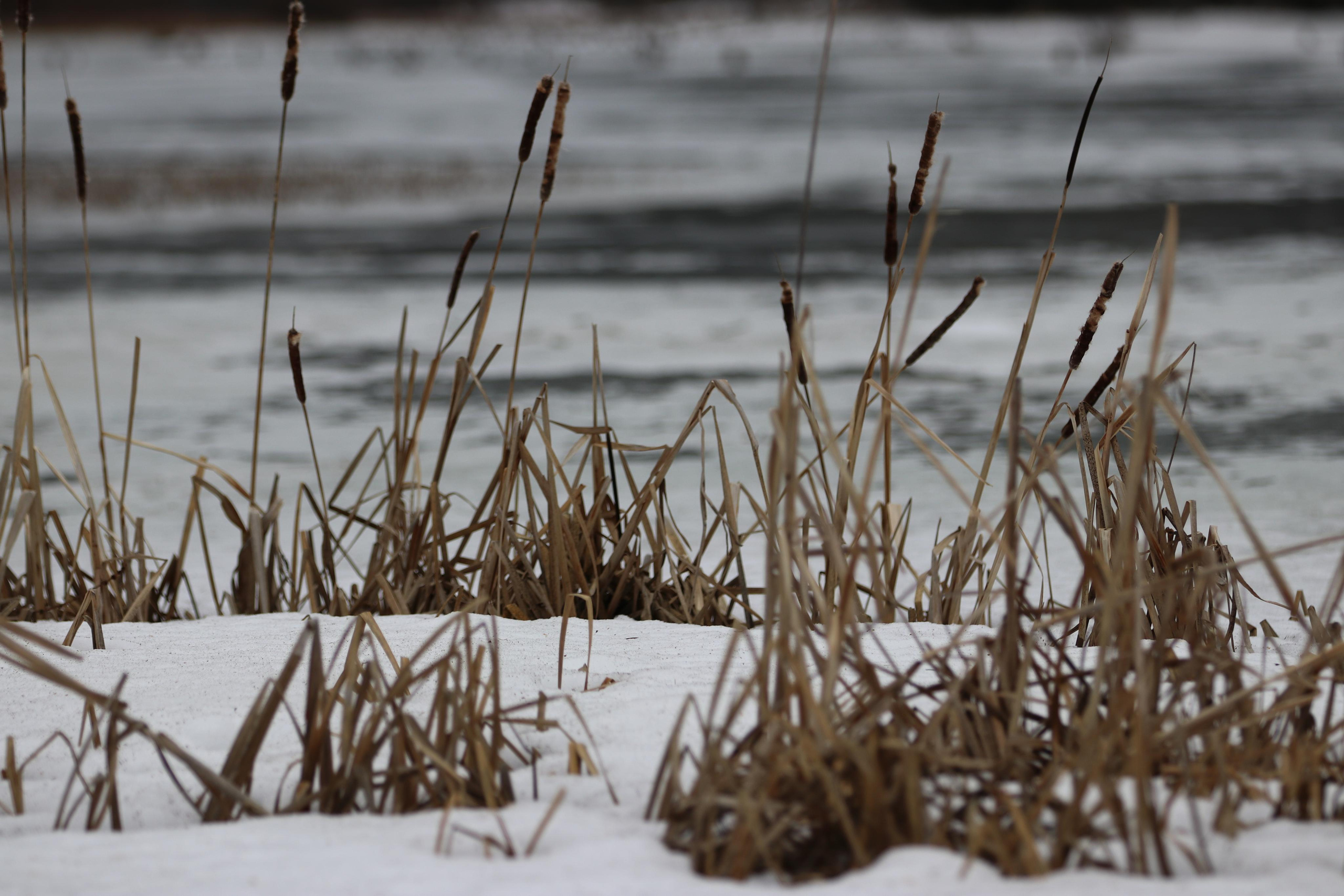 Румыния. Лаку-Рошу. Путешественник-фотограф из Санкт-Петербурга Татьяна Свистулина