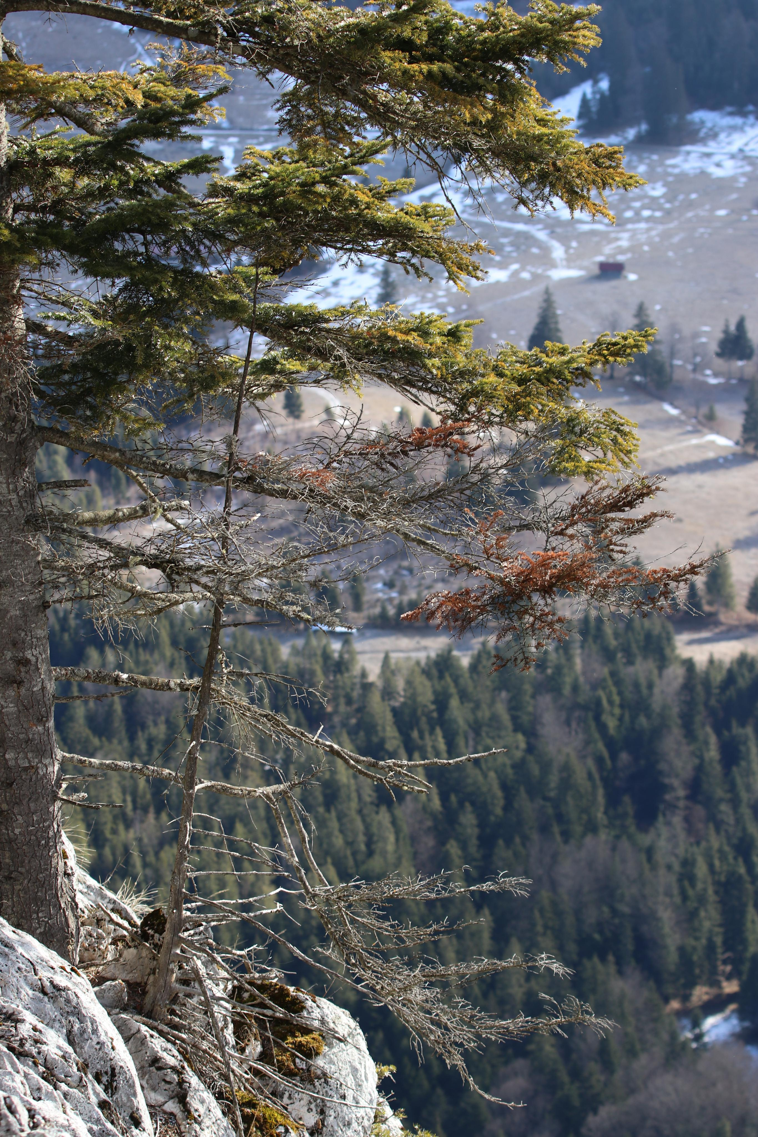 Румыния. Лаку-Рошу. Путешественник-фотограф из Санкт-Петербурга Татьяна Свистулина