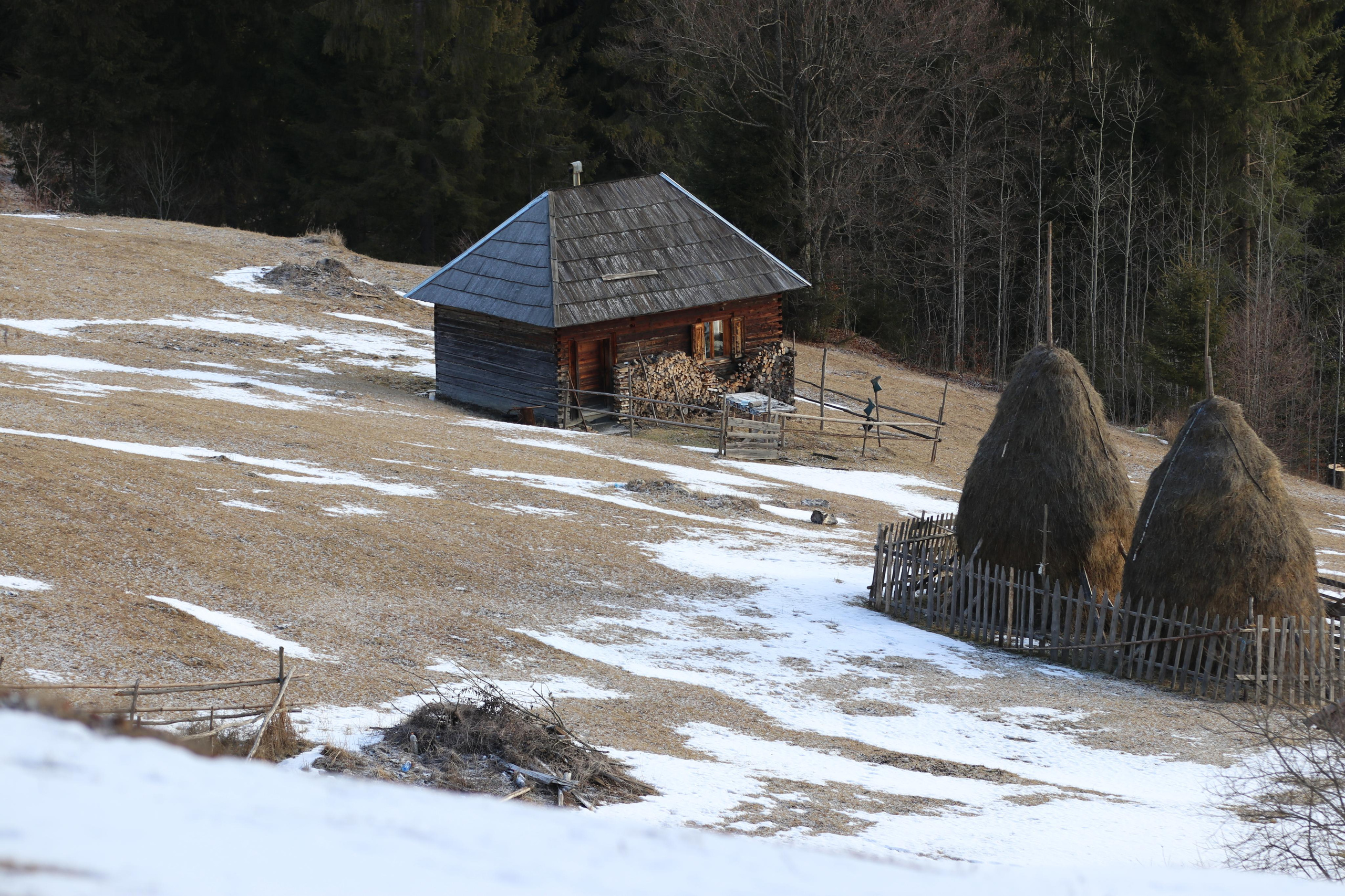 Как на классических полотнах художников